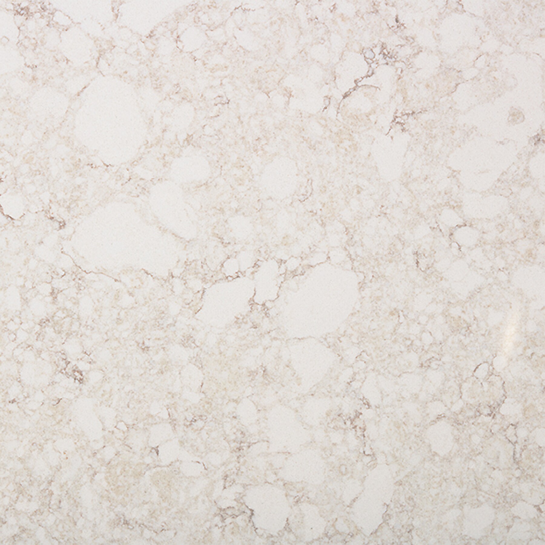 allen + roth Anthem Quartz Off-white Kitchen Countertop SAMPLE ( 4-in x ...