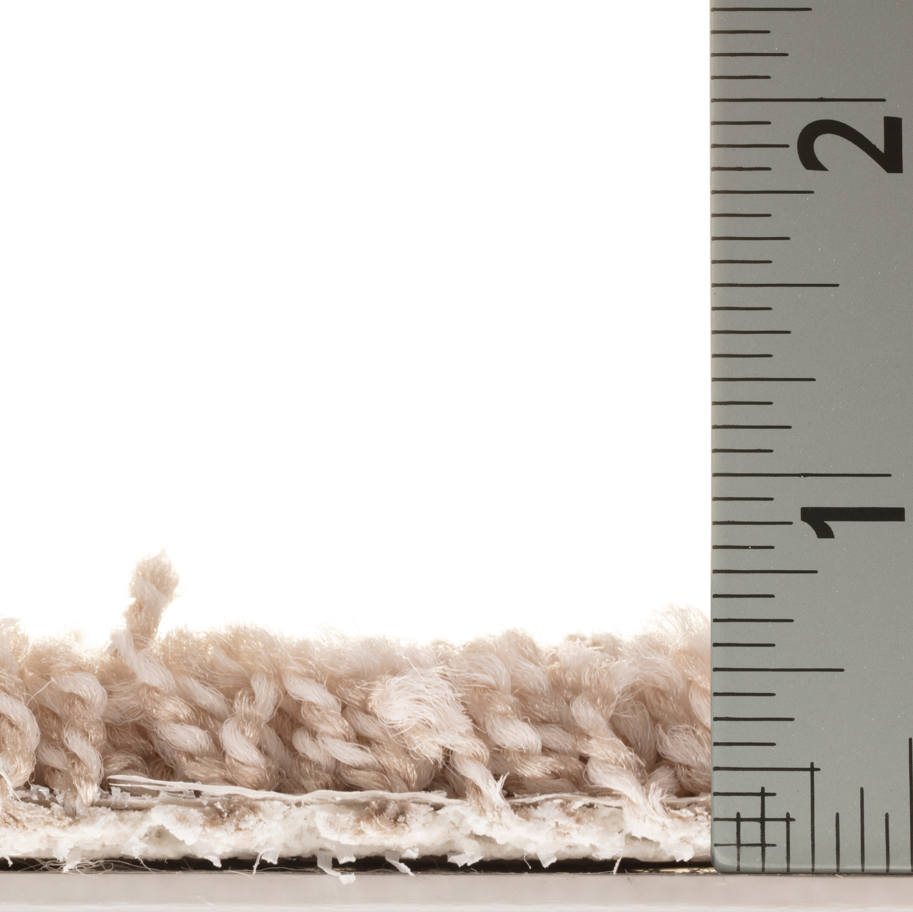 STAINMASTER PetProtect 7L906 - 803 - SAMP Carpet-Samples - View #6