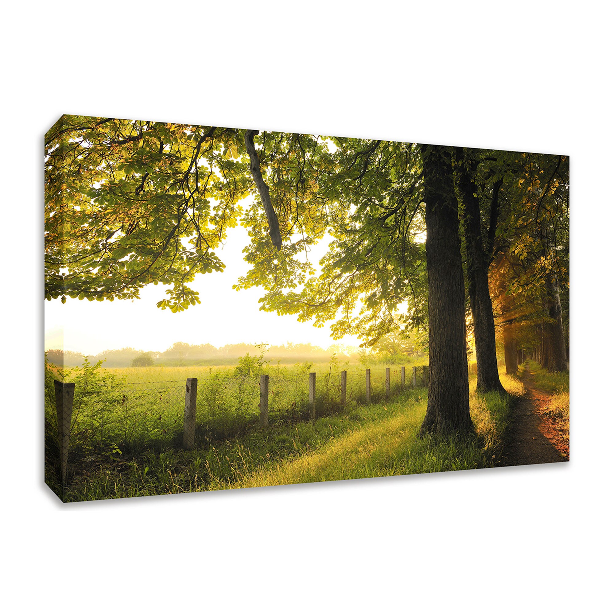 Tangletown Fine Art Frameless 24-in H x 36-in W Landscape Canvas Print ...