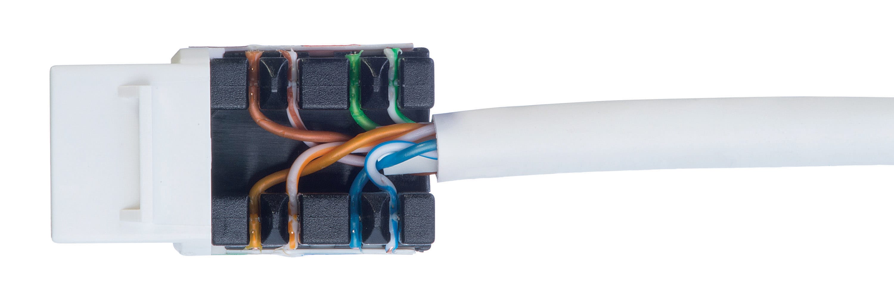 Conector Para Cable De Red Rj45 Cat.6 Utp 8 50uds. Cromad con Ofertas en  Carrefour