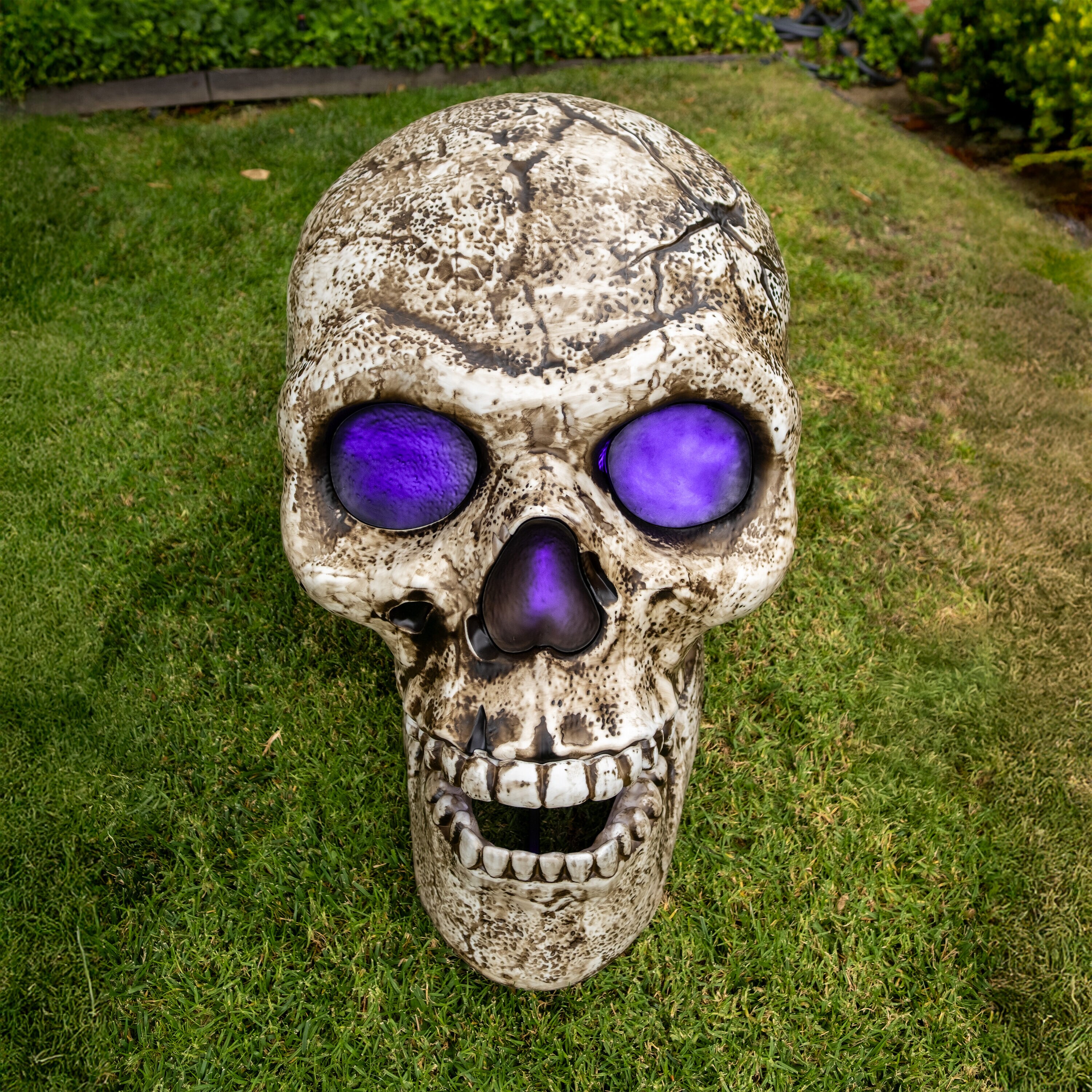 Haunted Living KL-37017 Outdoor-Halloween-Decor - View #8