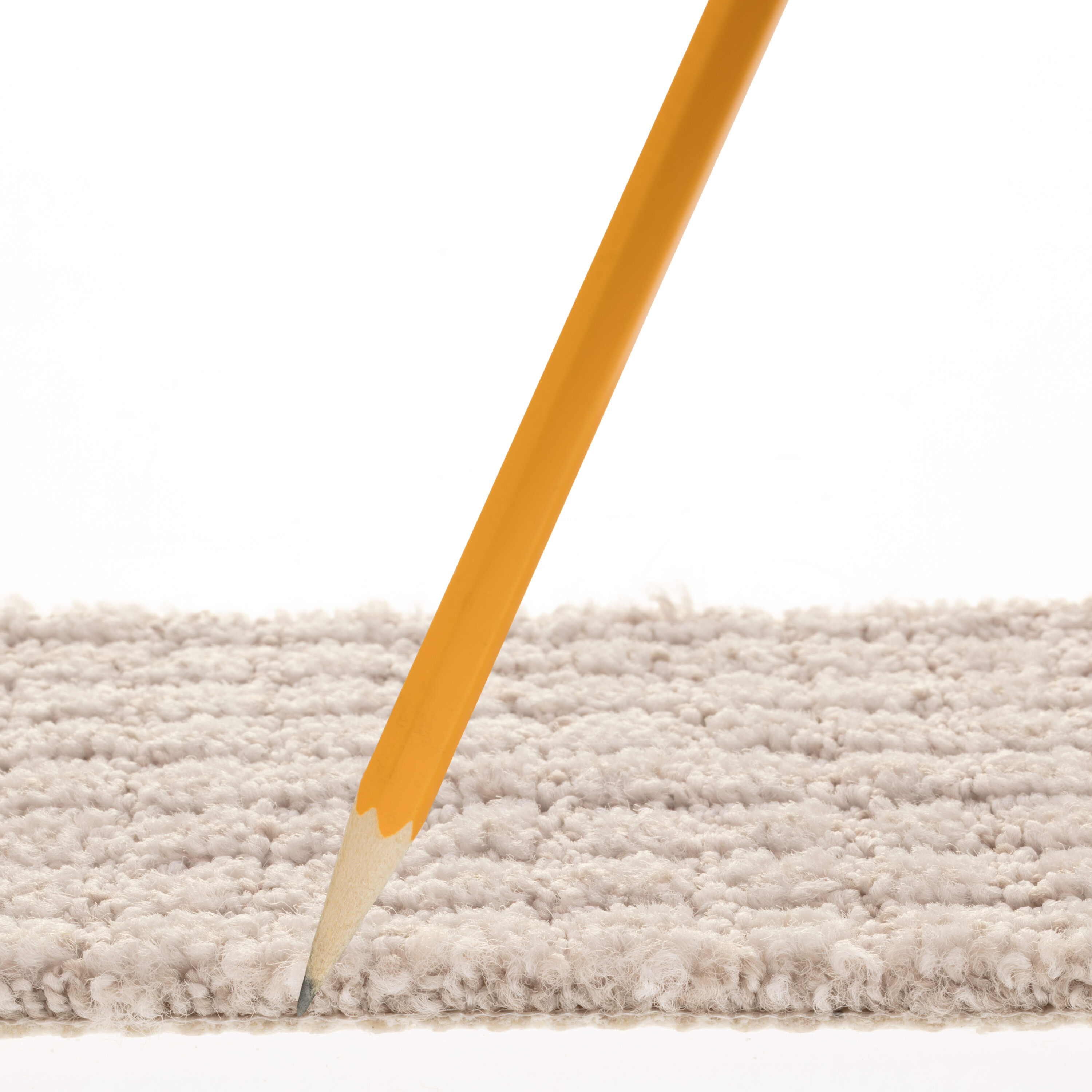 STAINMASTER PetProtect 7L88500501 Carpet-Panel - View #7