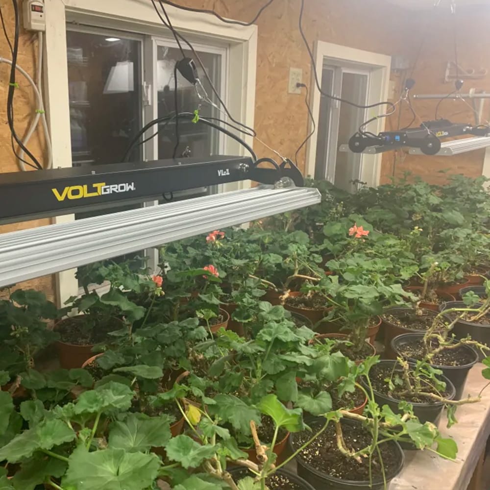 VOLT LOWGL-003 Grow-Lights - View #7