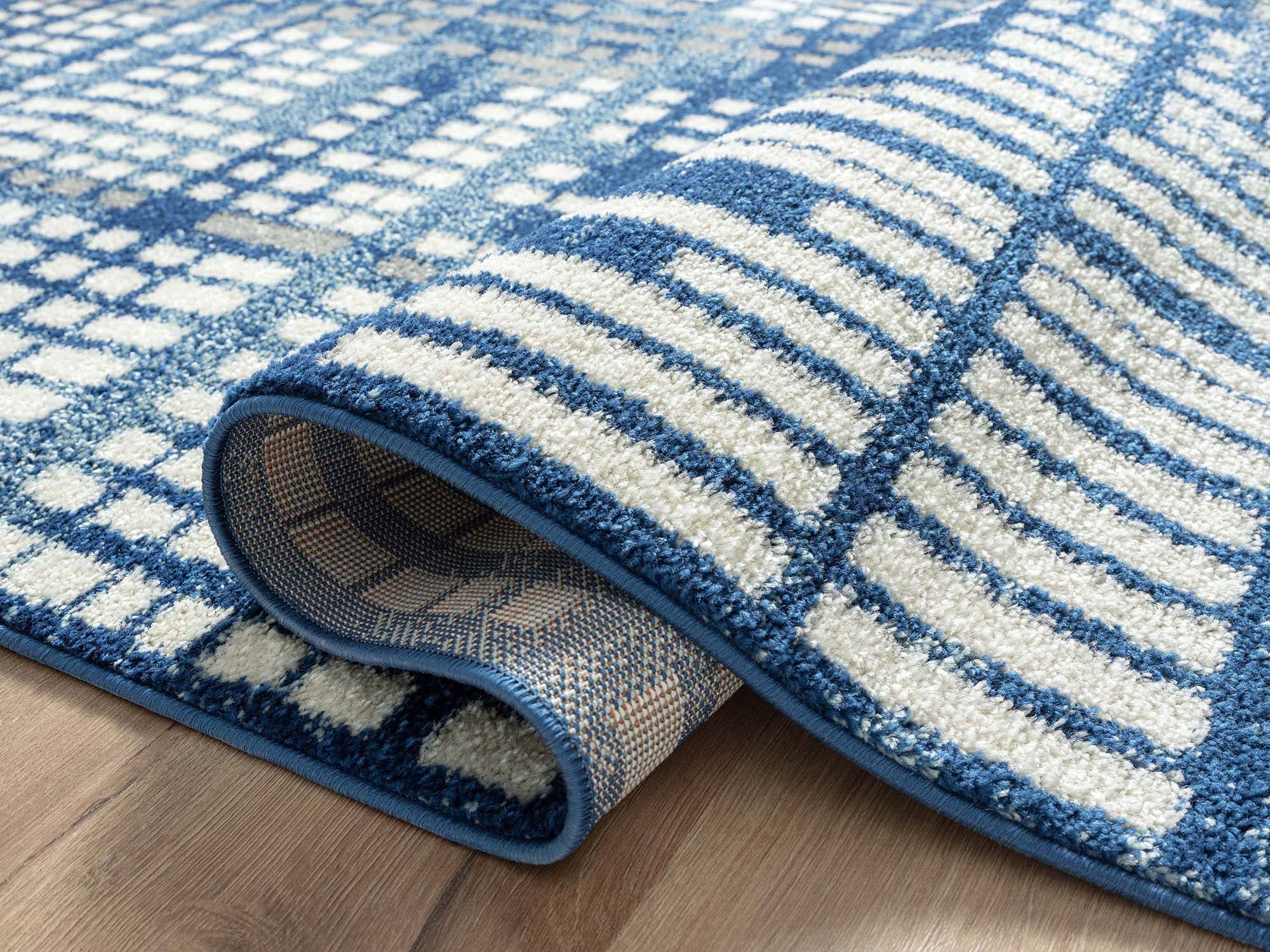 Abani Rugs CAS290A-4 rugs - View #5