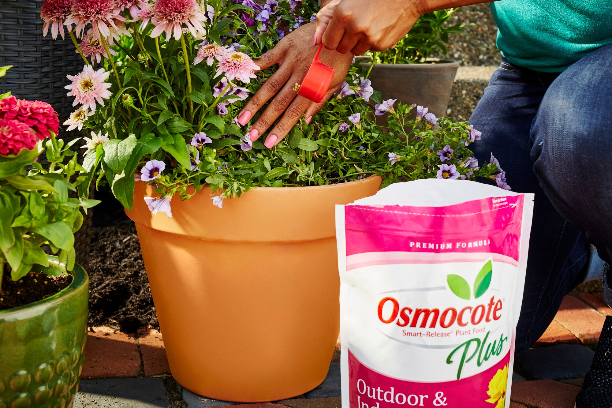All Purpose Slow Release Fertilizer Lasts 6-Months Outdoor and Indoor Plus  Osmocote - Sugar Creek Gardens