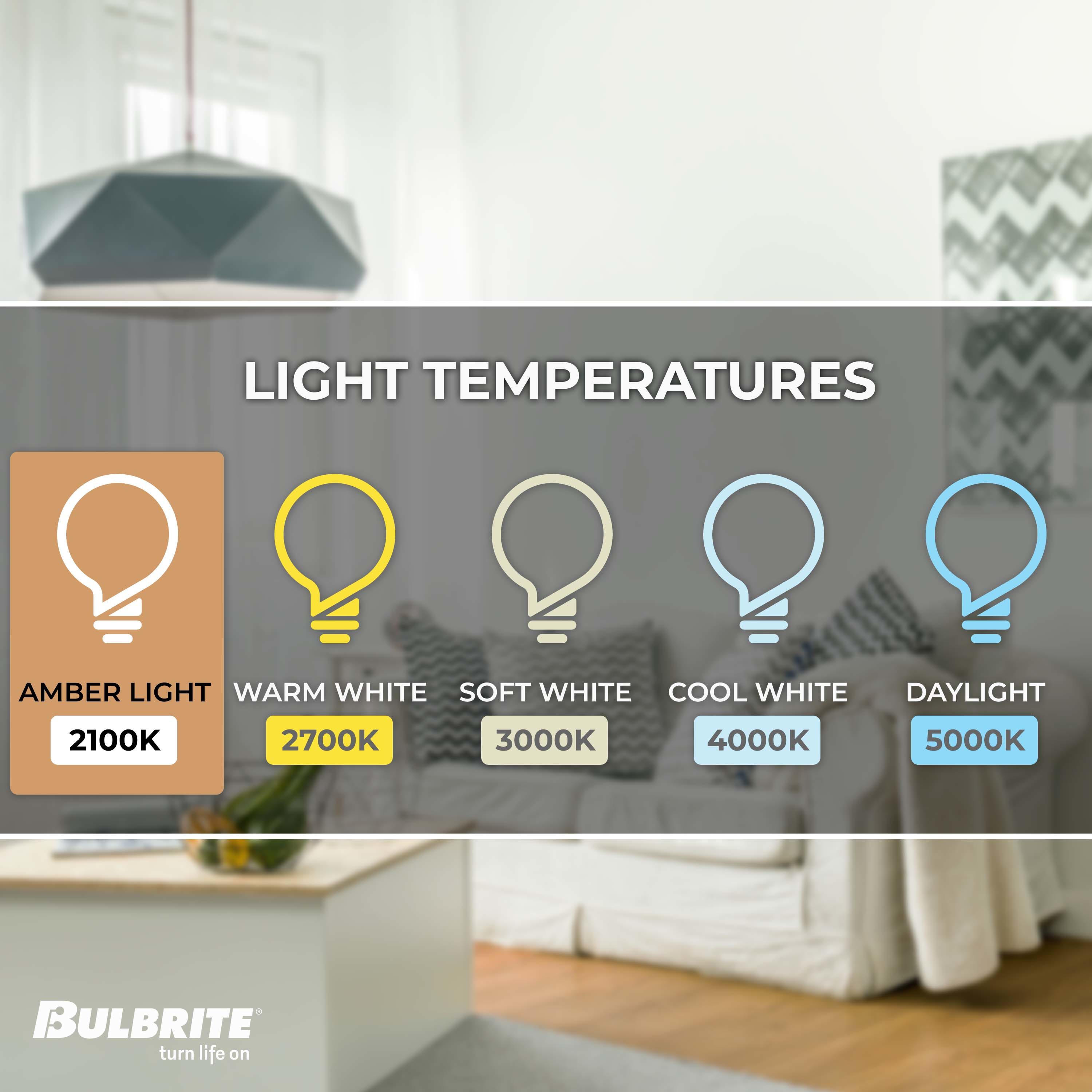 Bulbrite 776316 Dec-Led-Light-Bulbs - View #4
