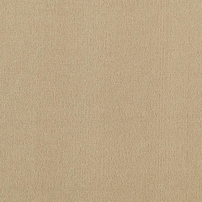 Mohawk Home & Office Sophisticated Look 30 Dewdrop Textured Carpet Sample (Interior) Mohawk Home & Office Sophisticated Look 30 Dewdrop Textured Carpet Sample (Interior)