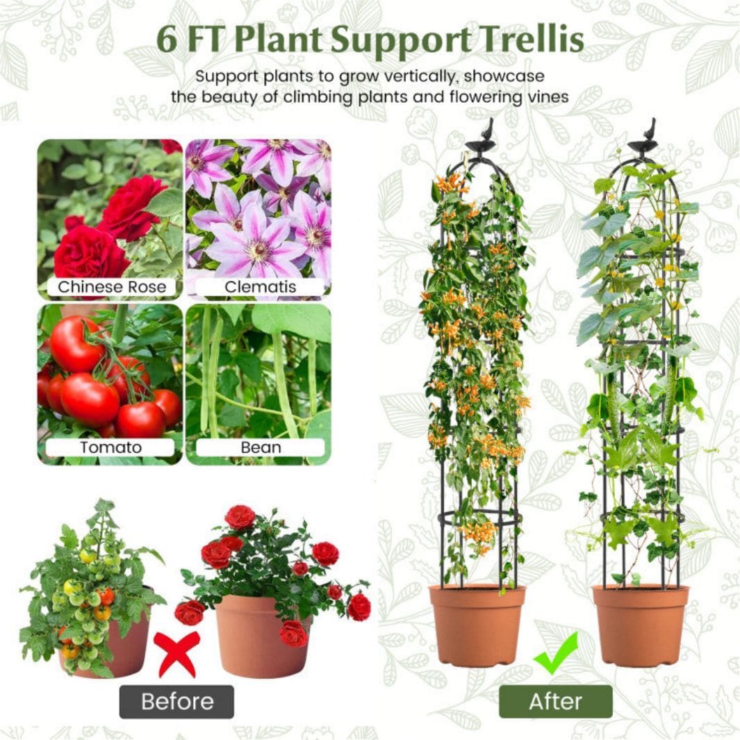 AHIOU HOME ZAAHD-HGTY4AGT Garden-Trellis - View #7