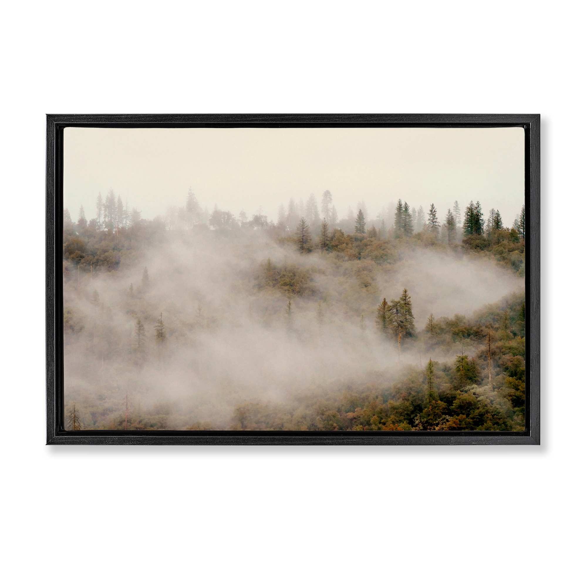 Stupell Industries BU-144-FFB-20X30 Morning Fog over Trees Floating Frame design by Gemma Bardot