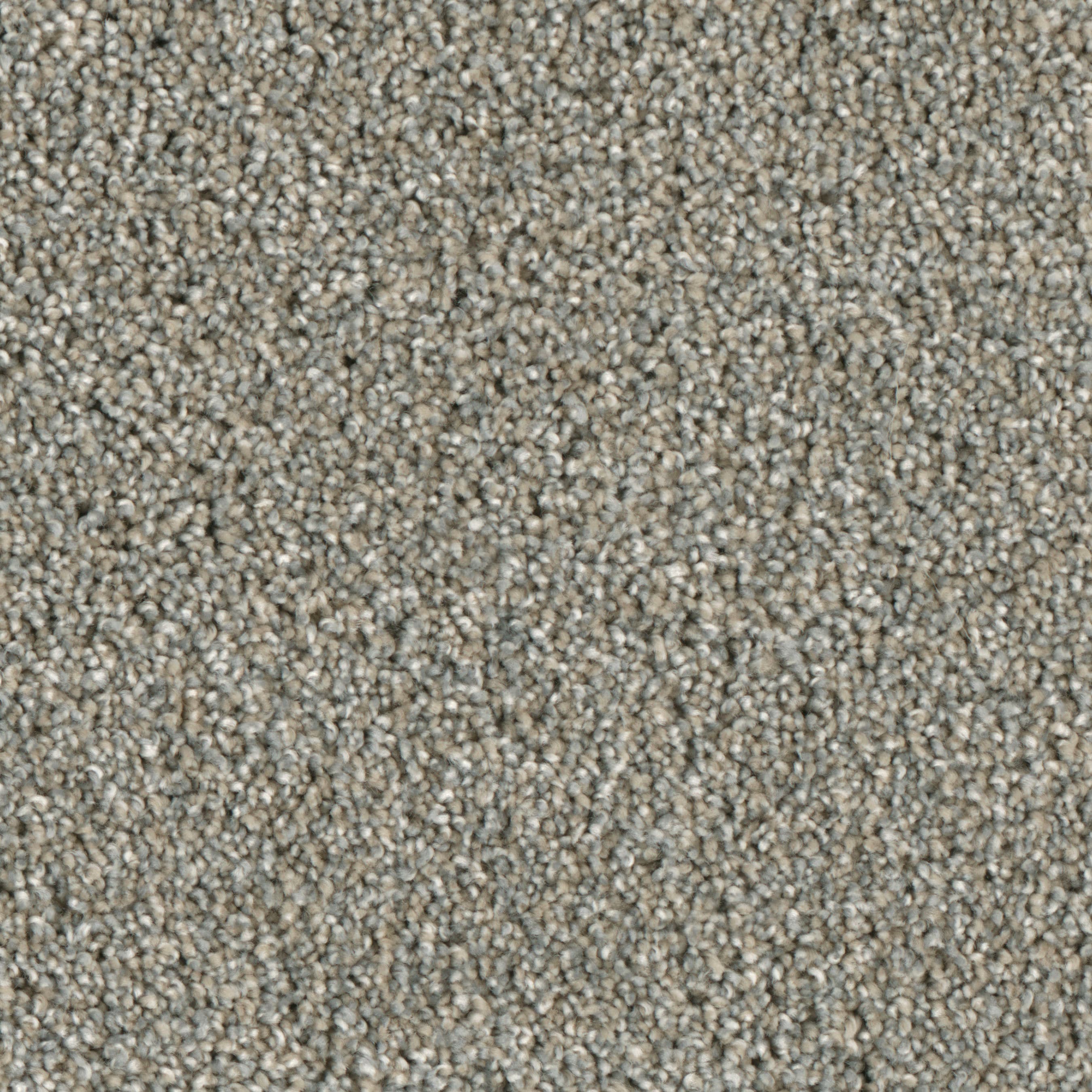(Sample) Lenox Park District Textured Indoor Carpet | - STAINMASTER S9255-912-S