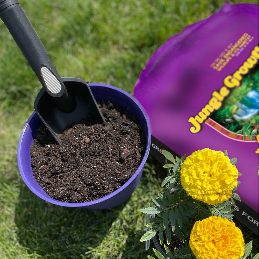 Best Deal for Rinnal Soilless Growing Media for Potting Mix