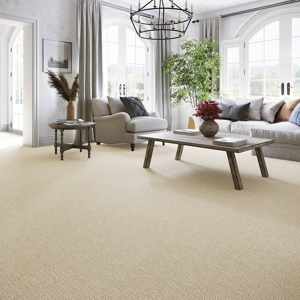 STAINMASTER LW187-L002-0808 Carpet-Samples - View #3