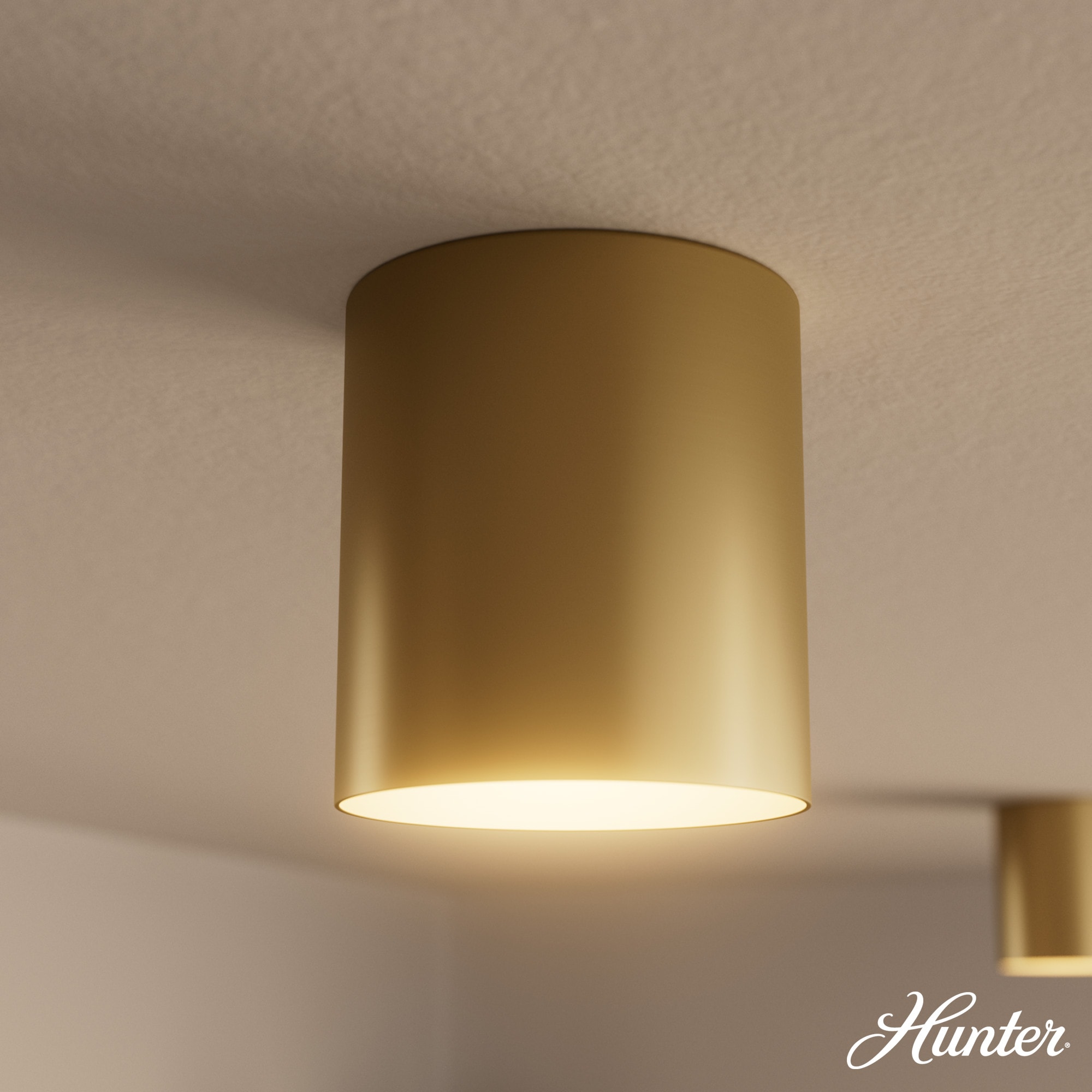 Hunter 13125 Canoga 1 -Light 5-in Satin Gold Integrated LED Flush Mount Light