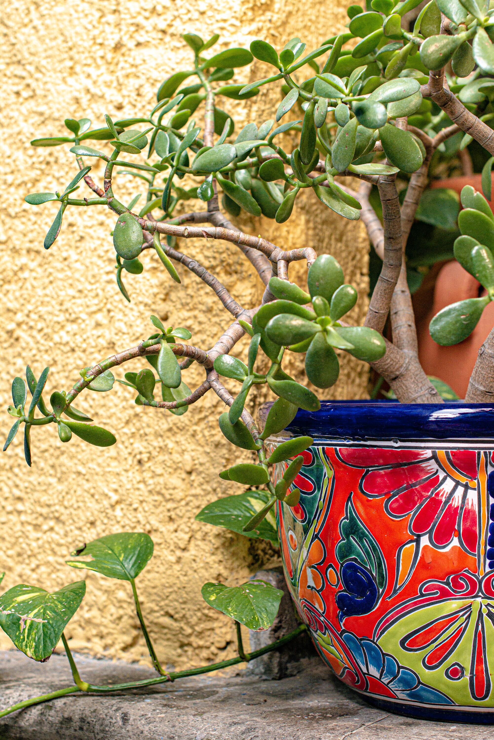 Evergreen 2CG836 Planter-Window-Box - View #6