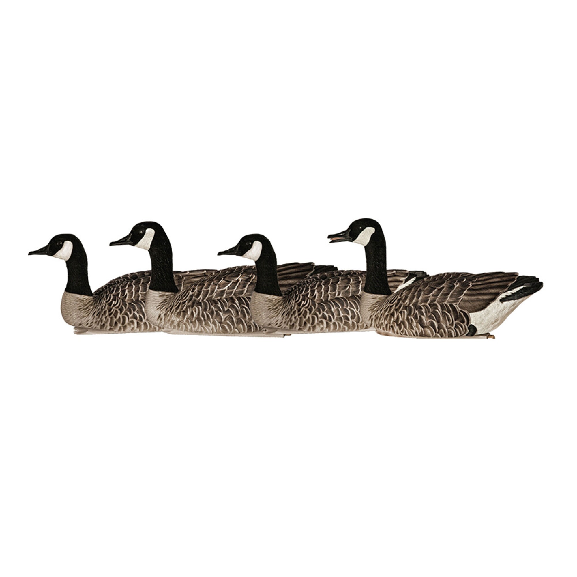  Avian X 408596 Hunting-Equipment - View #8