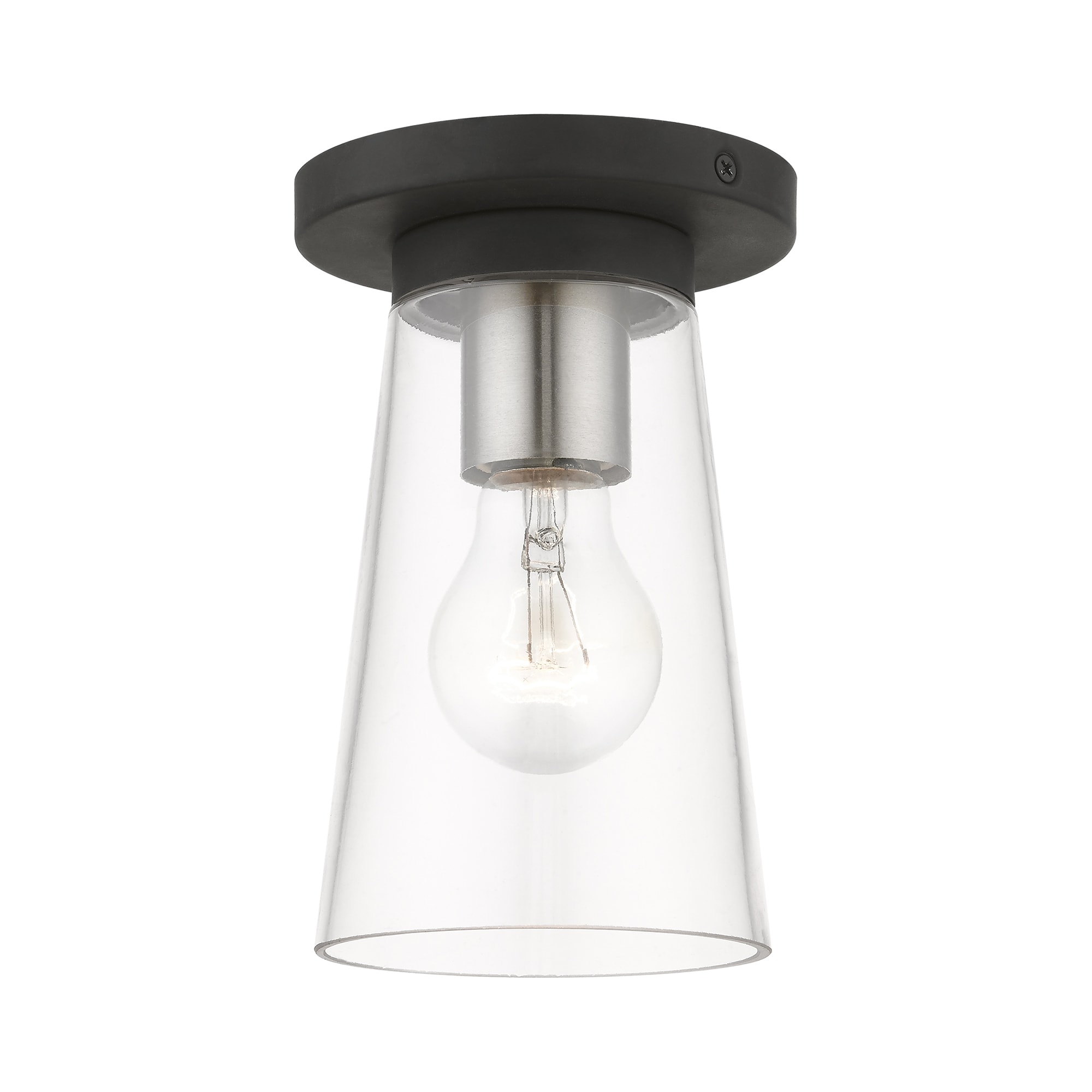 Black and Brushed Nickel Glass Indoor/Outdoor Flush Mount Light
