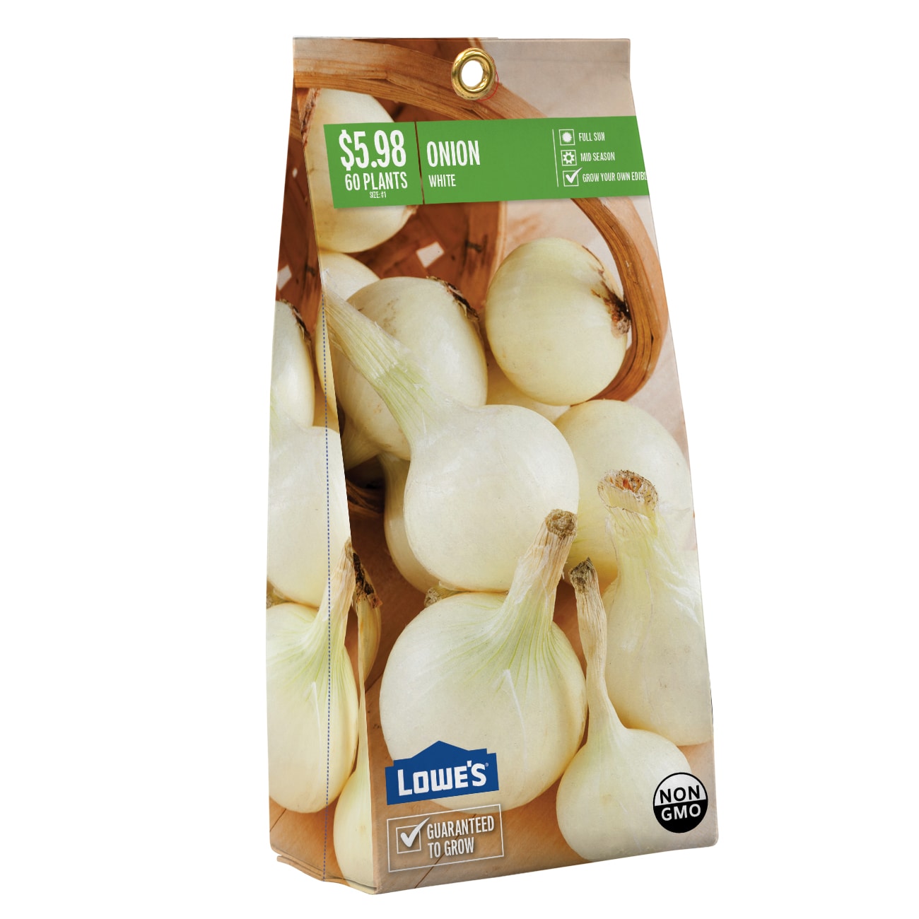  NURSERY ONION SETS WHITE PEG PBS