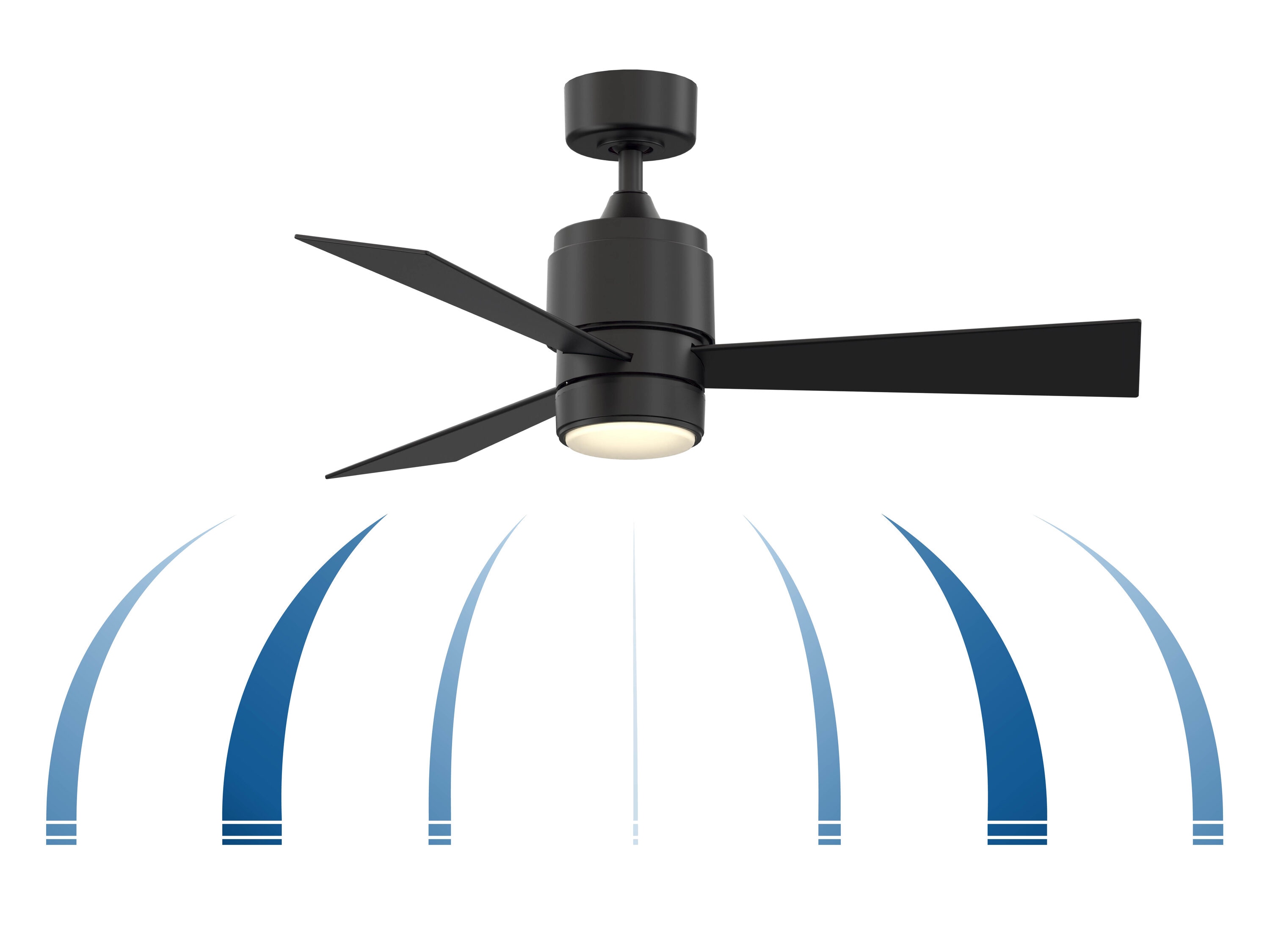 Fanimation FP4660BLW-44BLW-LK Ceiling-Fans - View #6