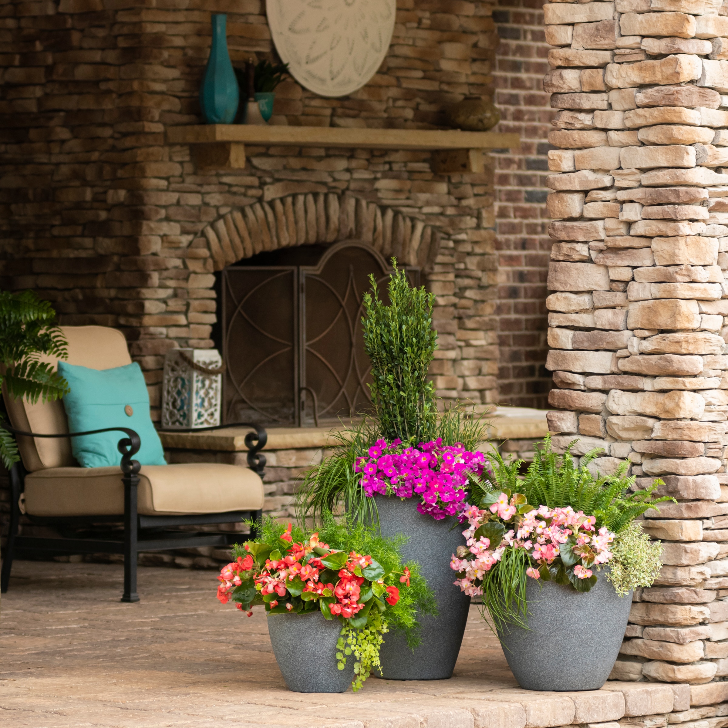 Monrovia 4834 annuals - View #3