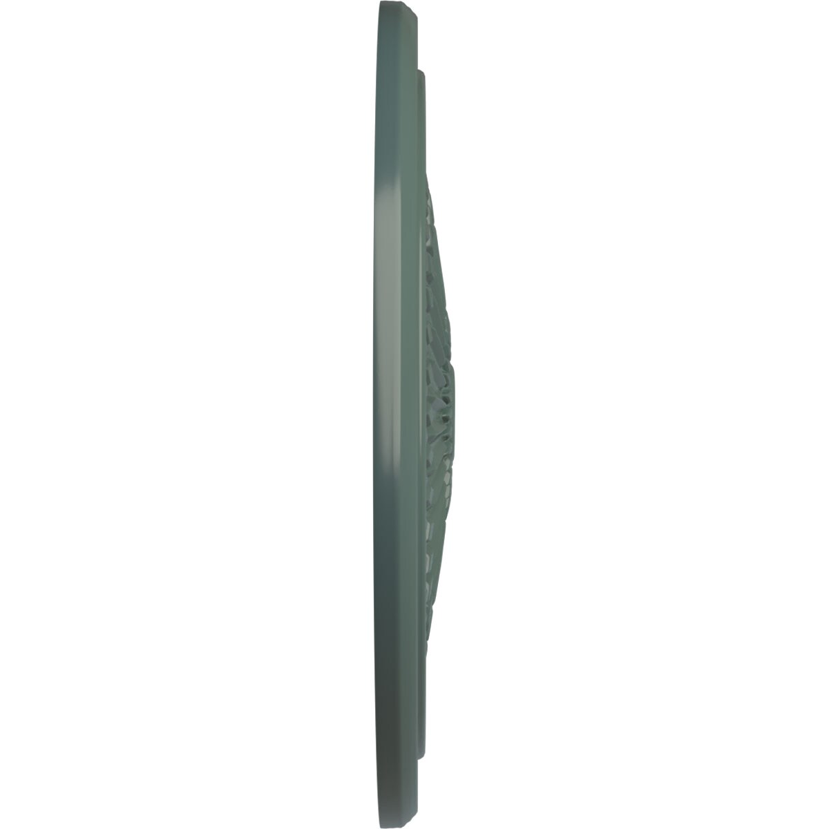 Ekena Millwork CM22TNCBF Ceiling-Medallions - View #3