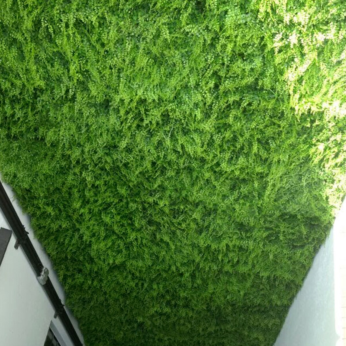 Greensmart Dekor MZ-6116 Wall-Accents - View #5
