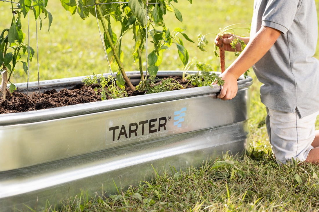 Tarter 24-in W x 72-in L x 12-in H Galvanized Steel Metal Raised Garden Bed