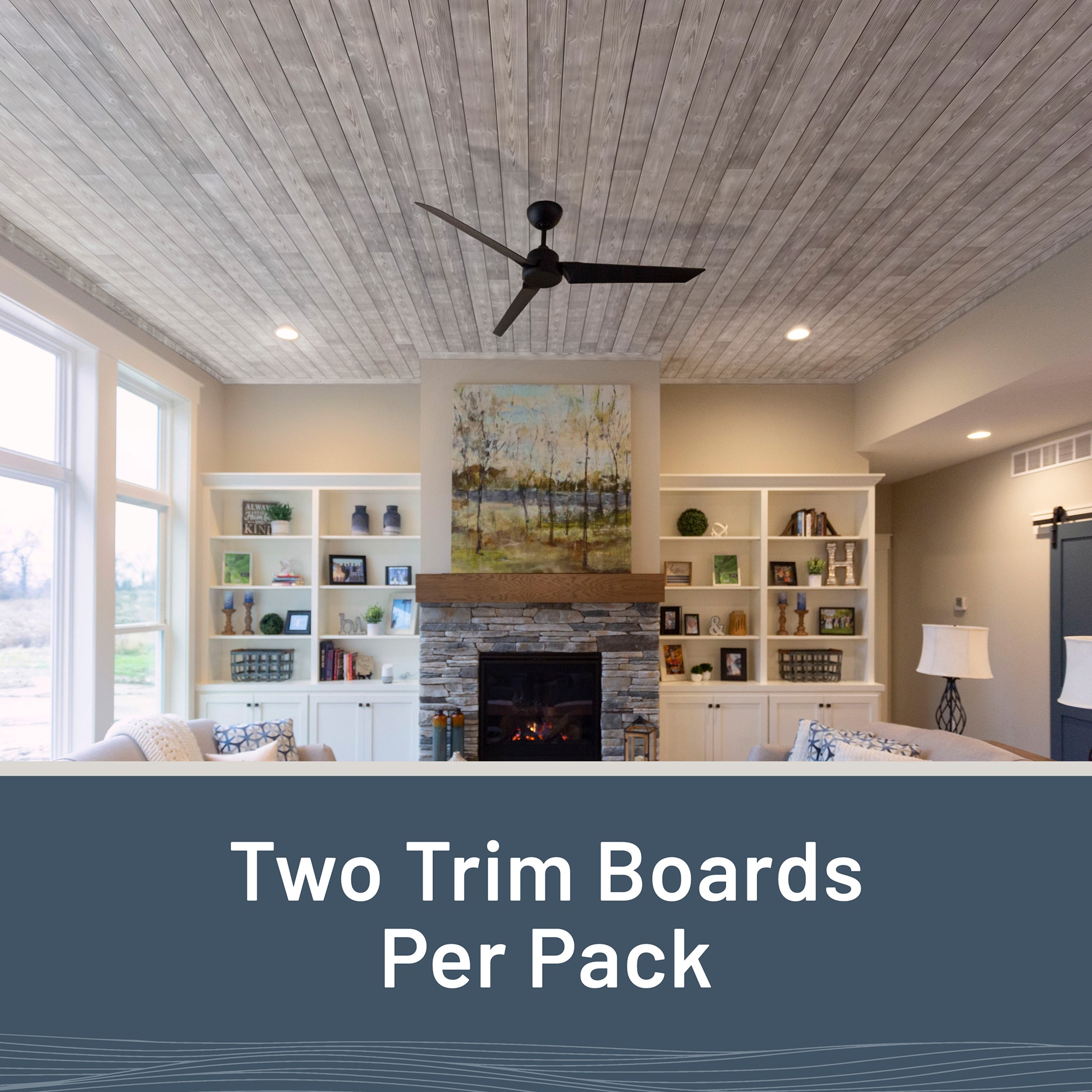 UFP-Edge 311590 Wall-Planks - View #2