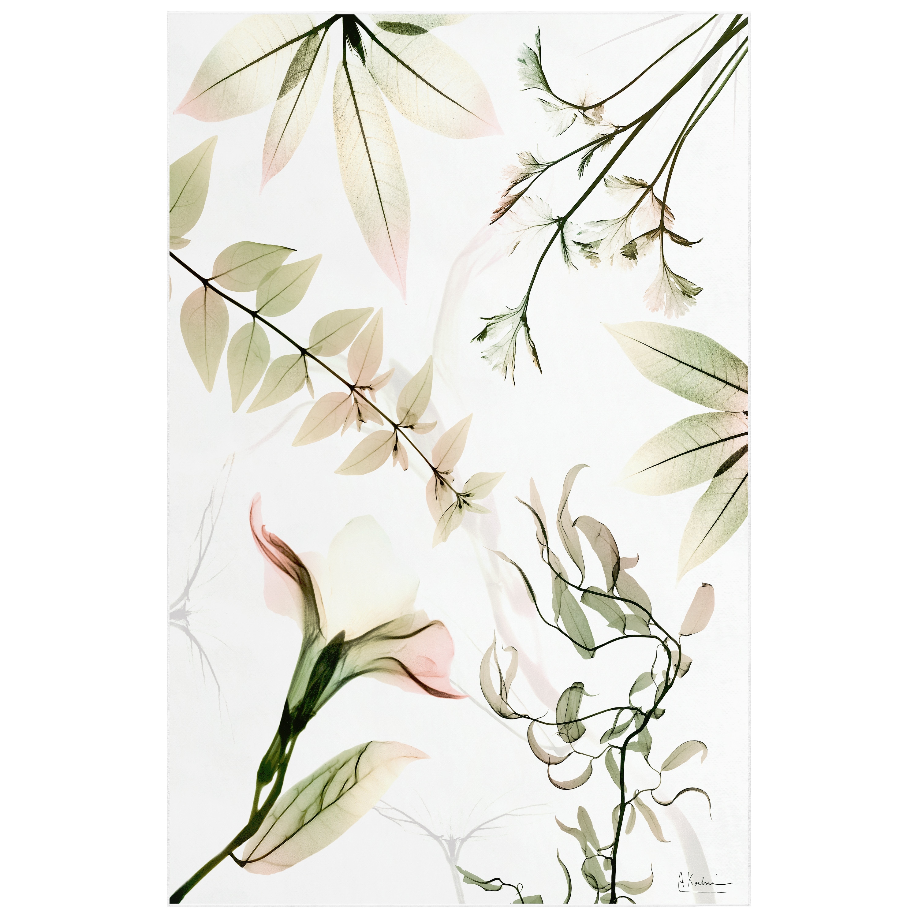 Empire Art Direct TDA-AD727-0508C2 5 x 8 (ft) Polyester Multi-Colored Rectangular Indoor Floral/Botanical Area rug