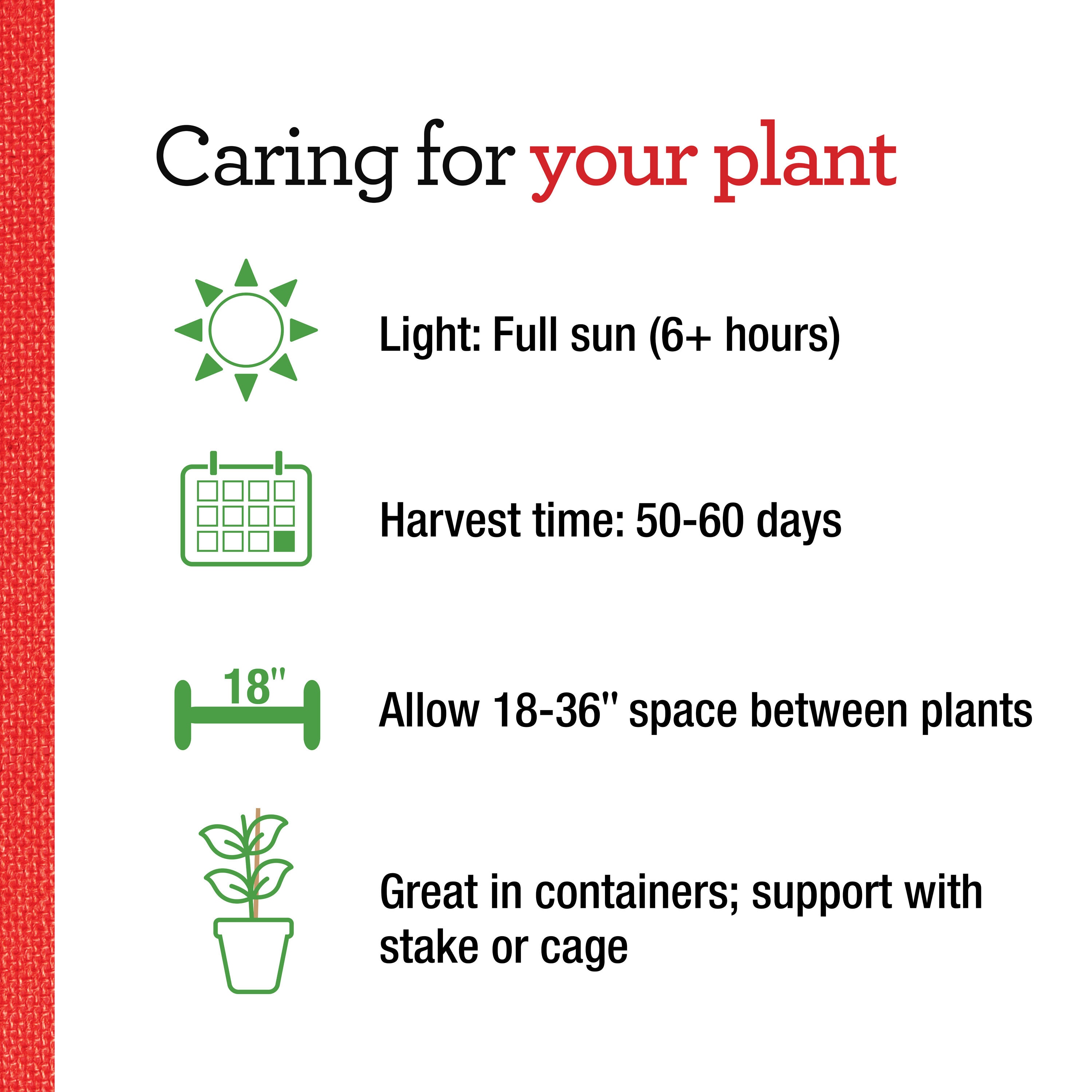 Bonnie Plants 202071 Vegetable-Plants - View #5