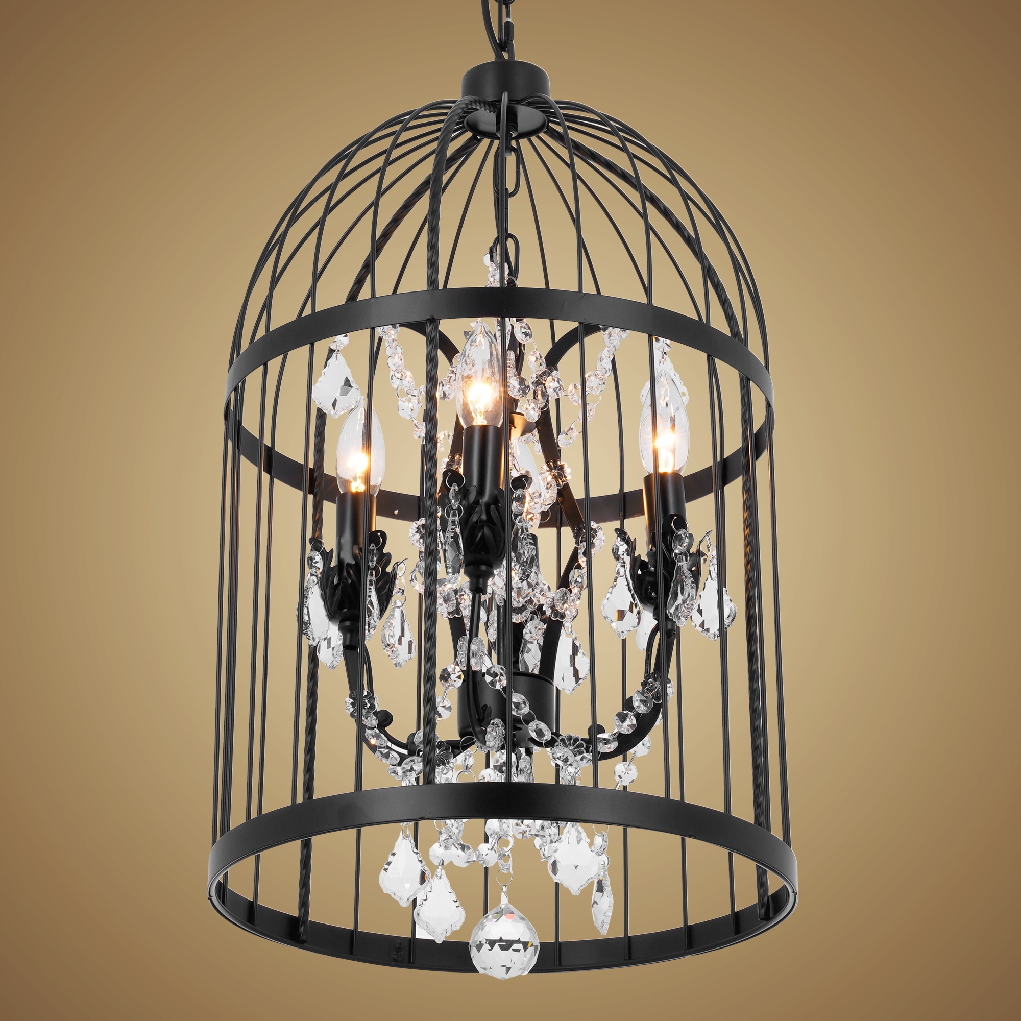 EFPERFECT ELT144 b090015 - View #2