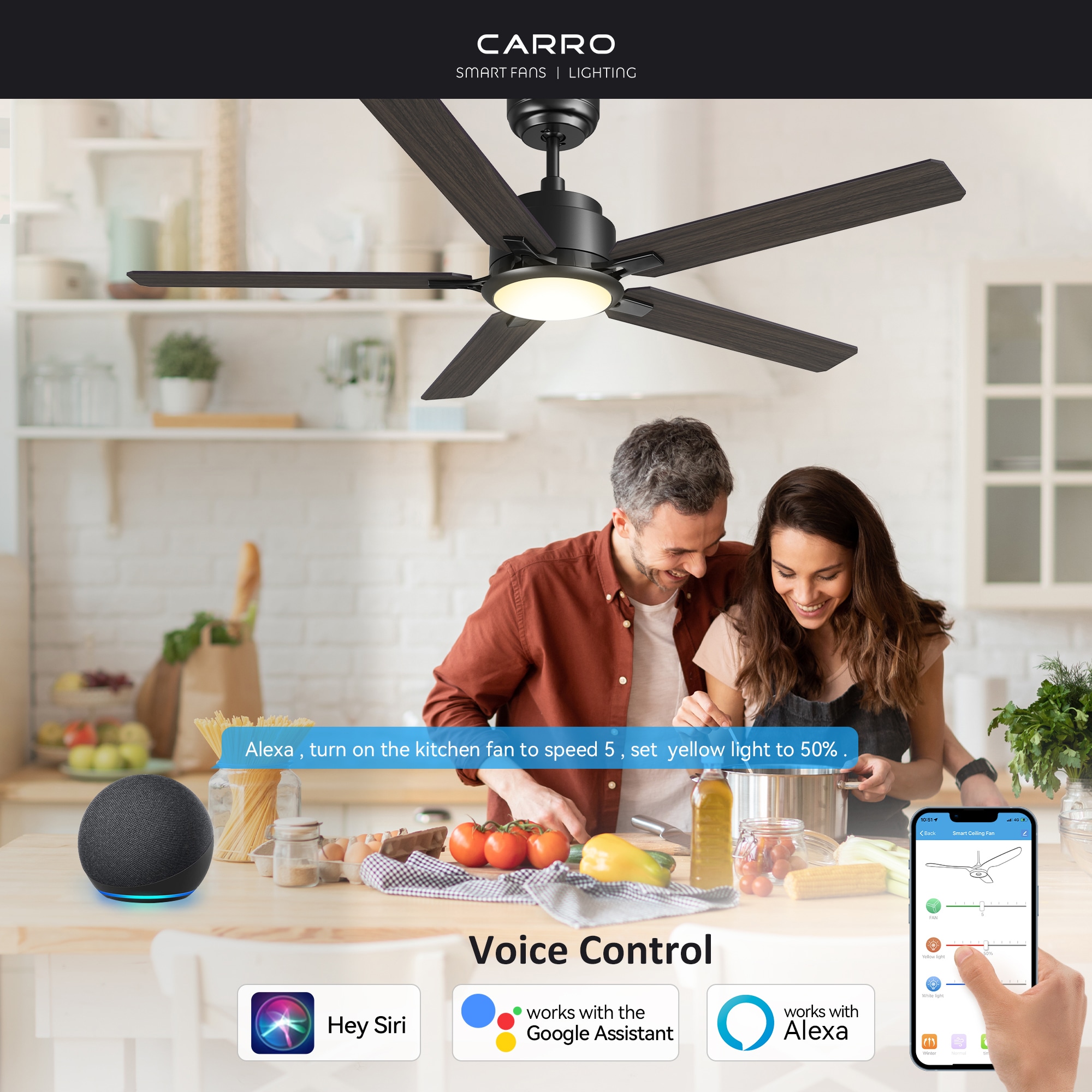 CARRO USA Essex 60-in Black with Wooden/Walnut Blades Indoor/Outdoor Smart Ceiling Fan with Light and Remote (5-Blade) LS605J-L12-BG-1 Sansujyuku sansujyuku.com