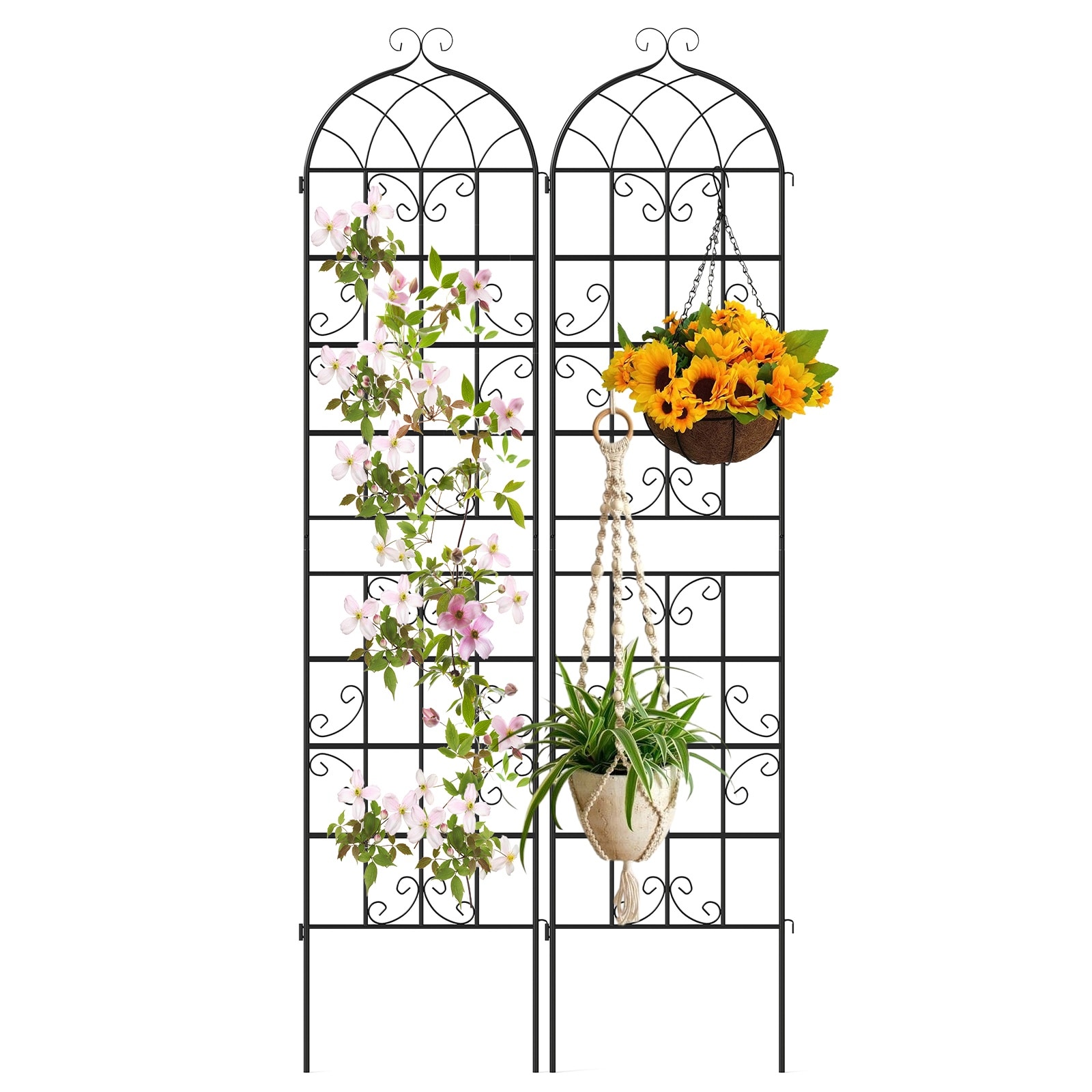 Volenca - 2-Pack 20-in W x 86-in H Metal Garden Trellis Black