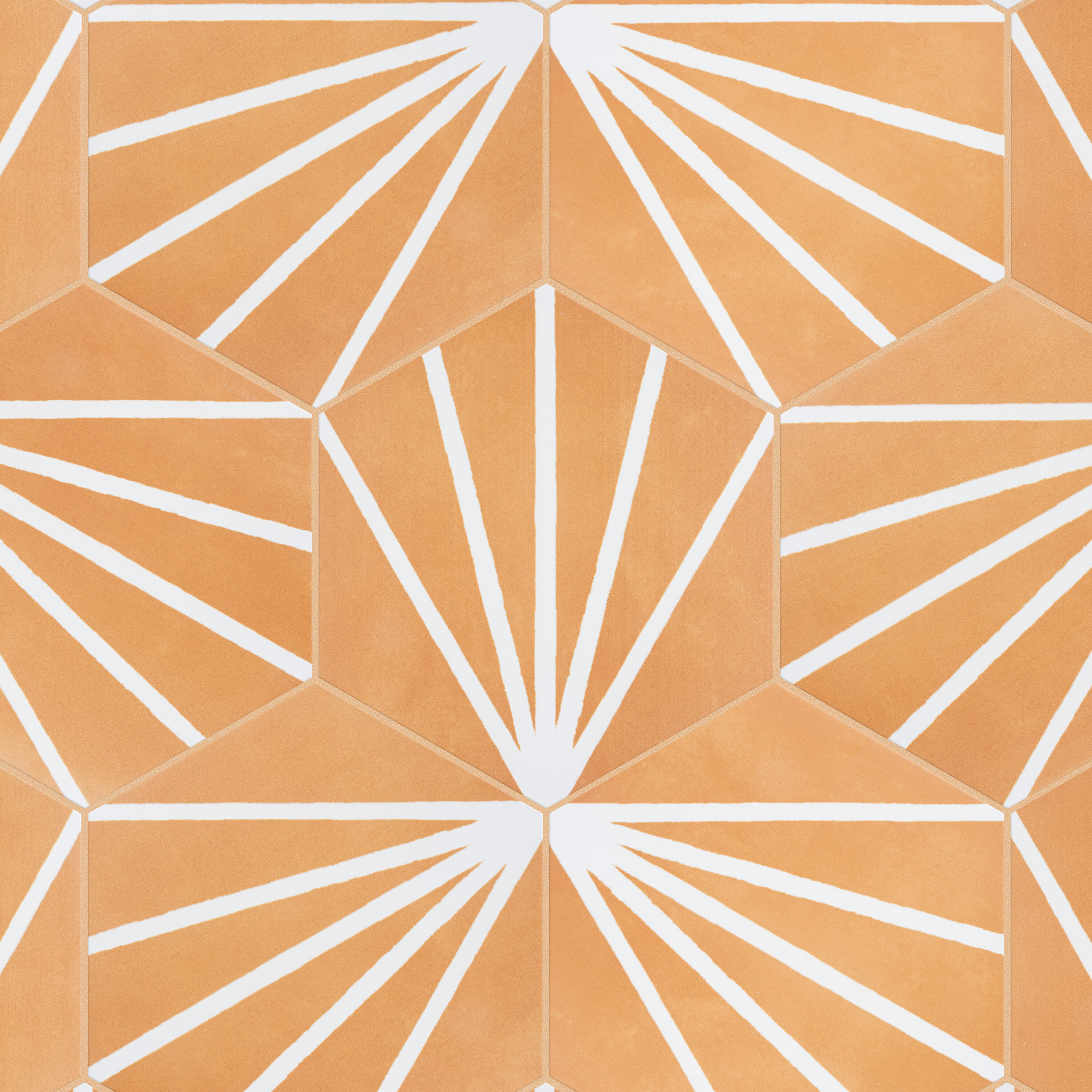 Affinity Tile S1FBT9HXMODU Tile-Samples - View #11