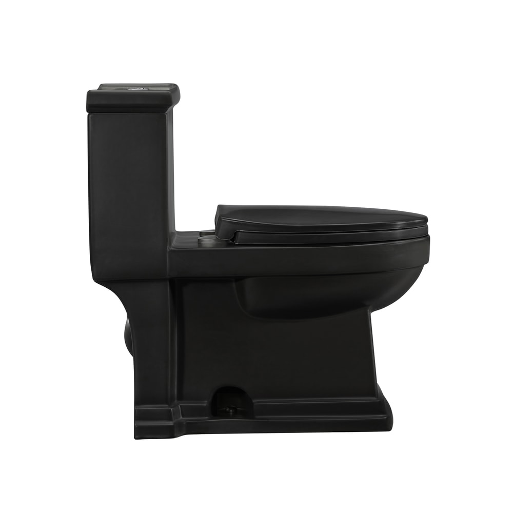 Matte Black High Efficiency One-Piece Elongated Toilet