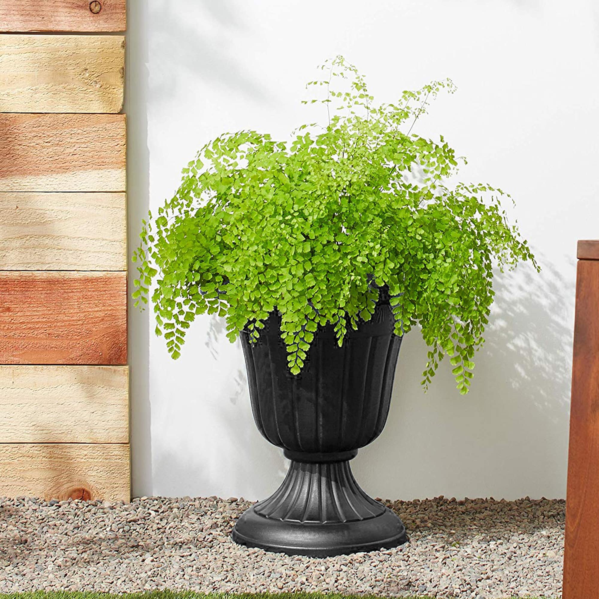 Arcadia Garden Products PL10BK Planter-Window-Box - View #5