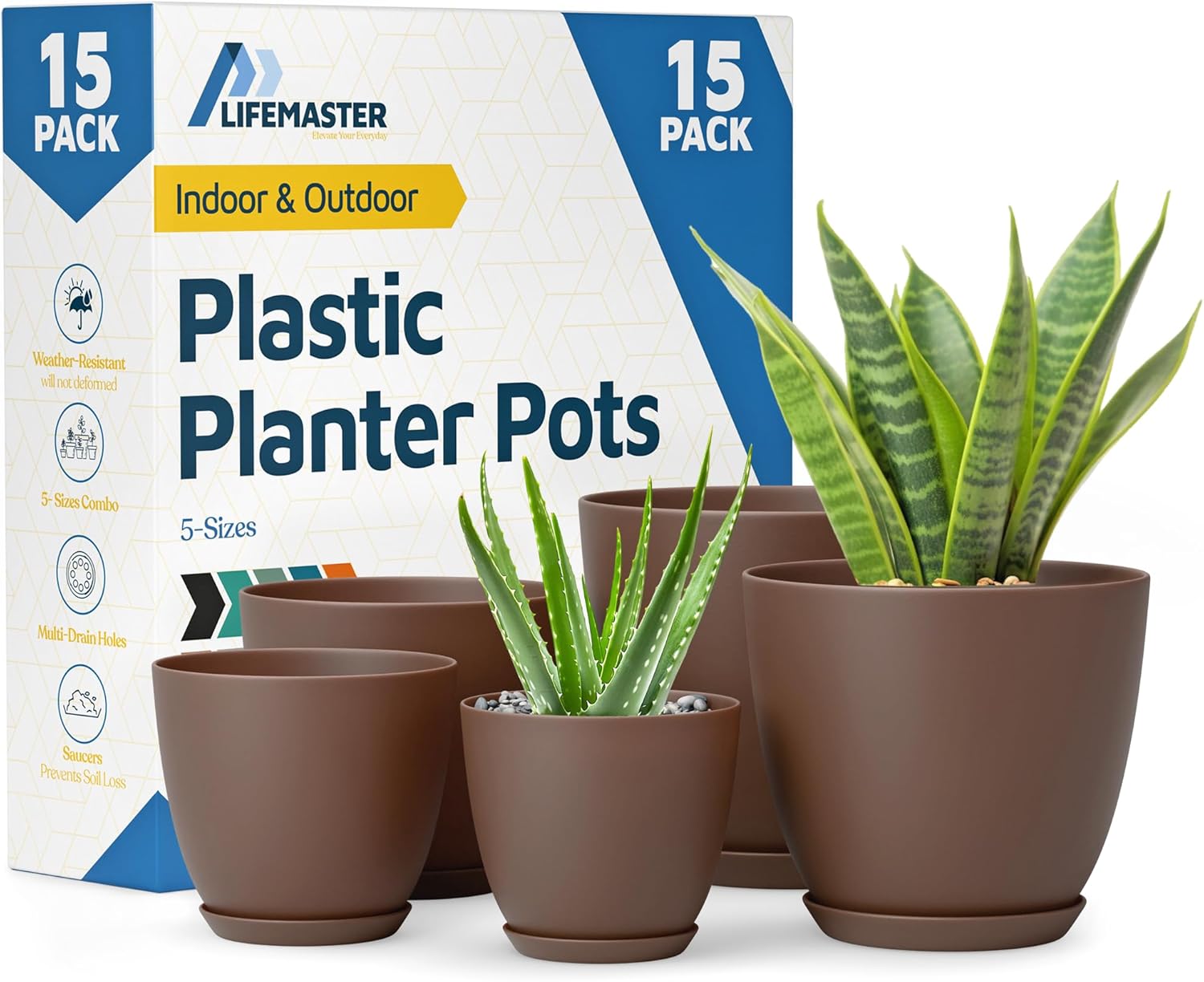 potted plant herbal Common Thyme Herb Plants