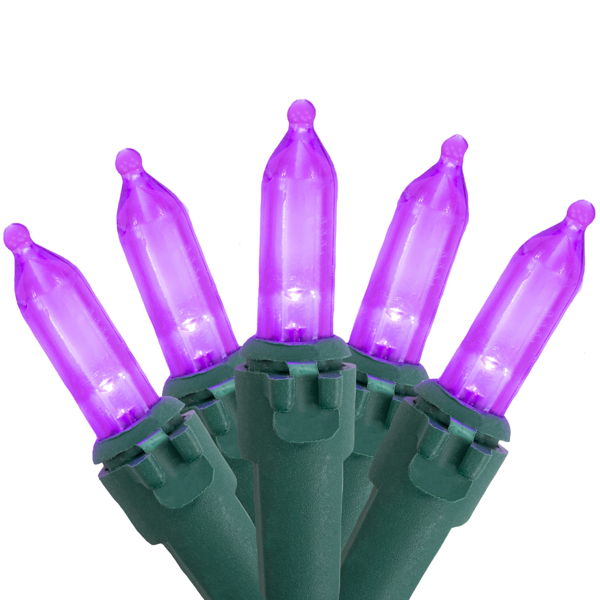 Northlight 32605426 50 -Count 16.25-ft Purple LED Plug-In Christmas String Lights