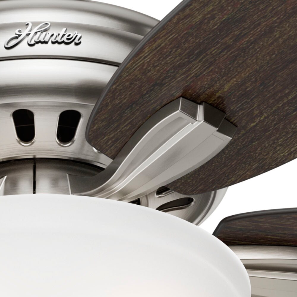 Hunter 53312 Ceiling-Fans - View #13