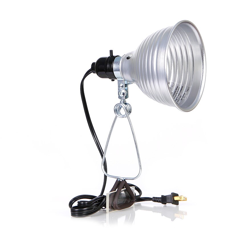 swing arm wall lamp with dimmer