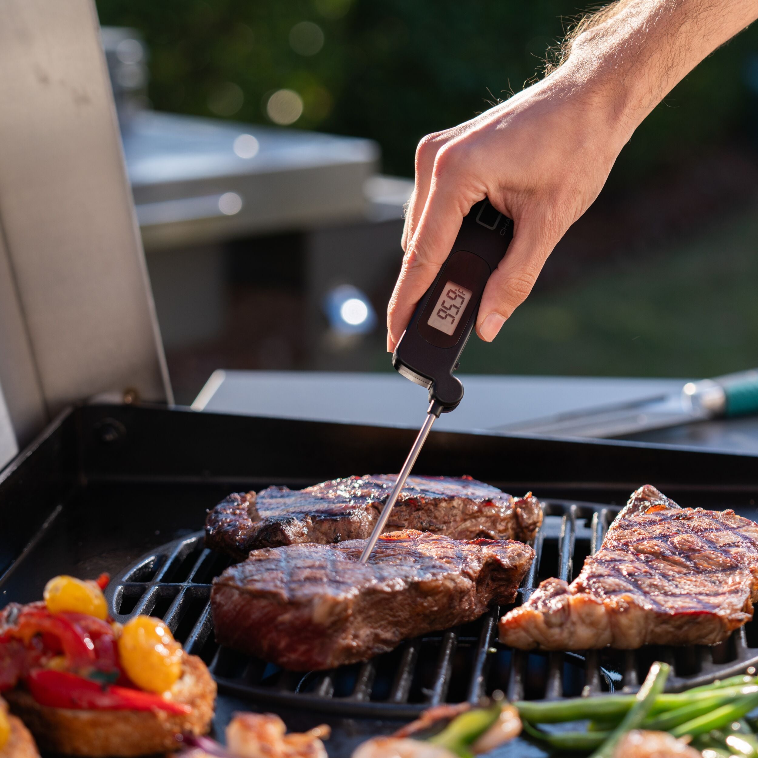 Charbroil CB1250085P12 Meat-Thermometers - View #4
