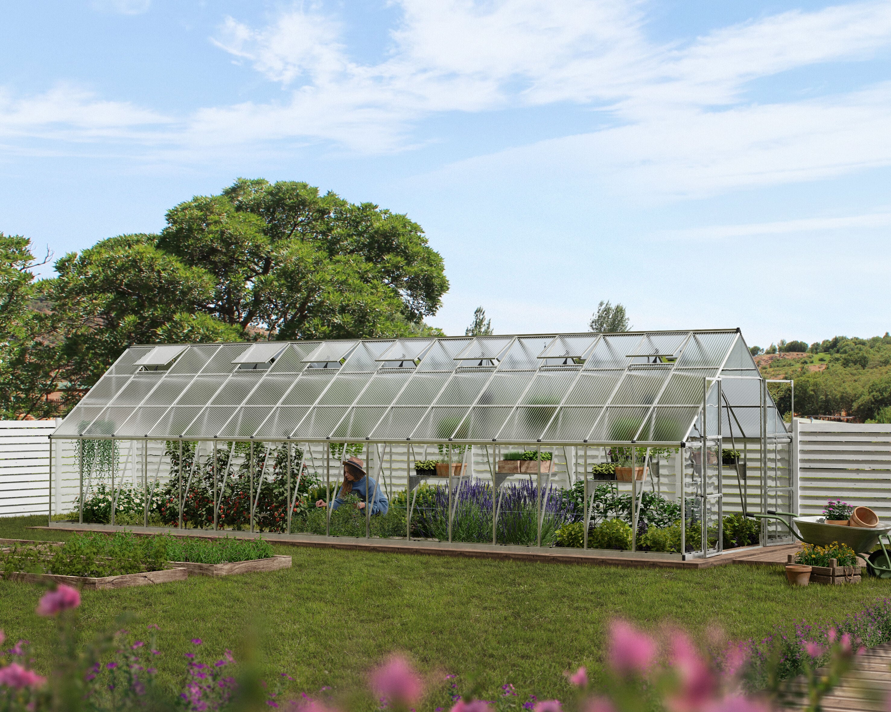 Canopia by Palram 707016 greenhouses - View #2