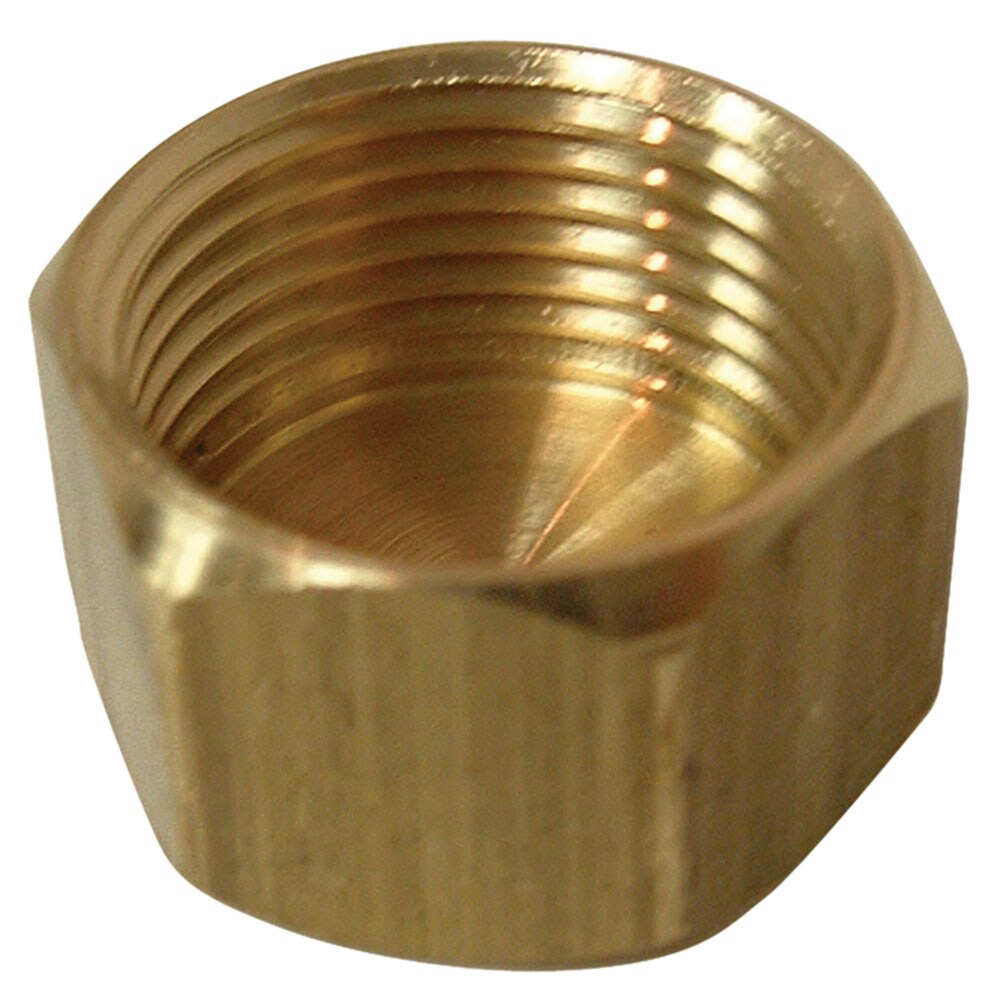 Watts A-5 1/4-in Cap Compression Fitting