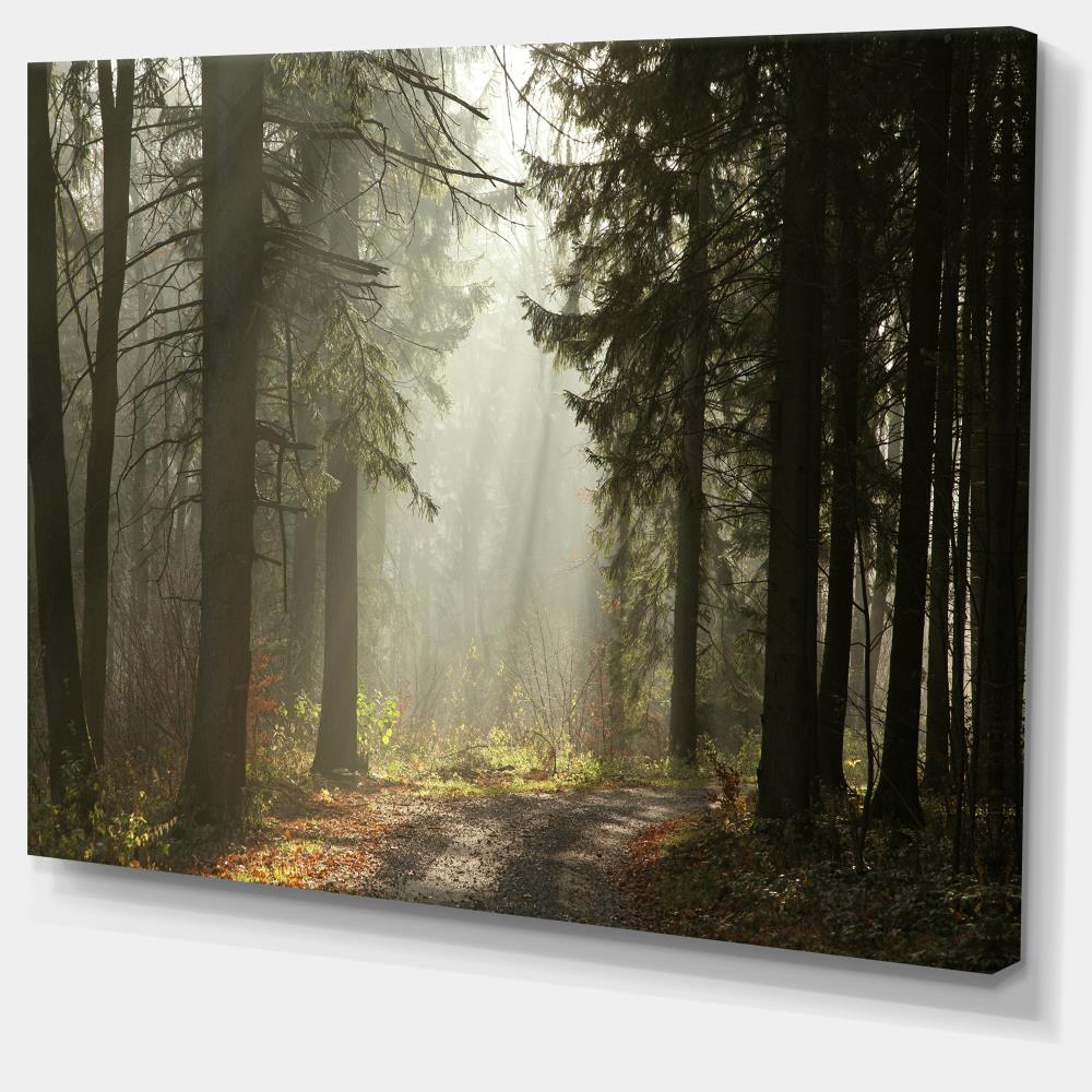 Designart 12-in H x 20-in W Landscape Print on Canvas at Lowes.com