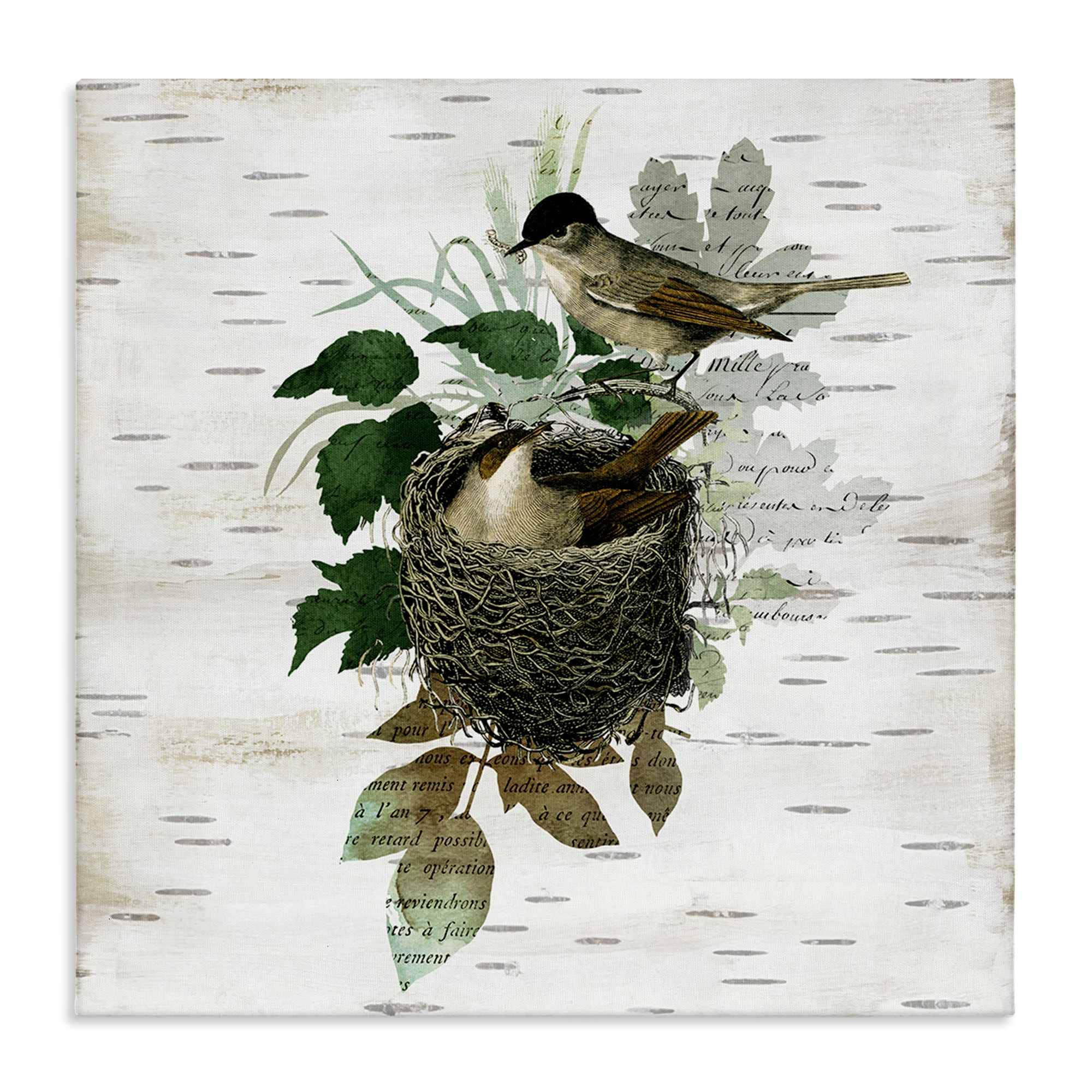 Stupell Industries BS-204-CN-36X36 Birds in Vintage Nest Canvas Wall Art By Susan Arnot 36 x 36