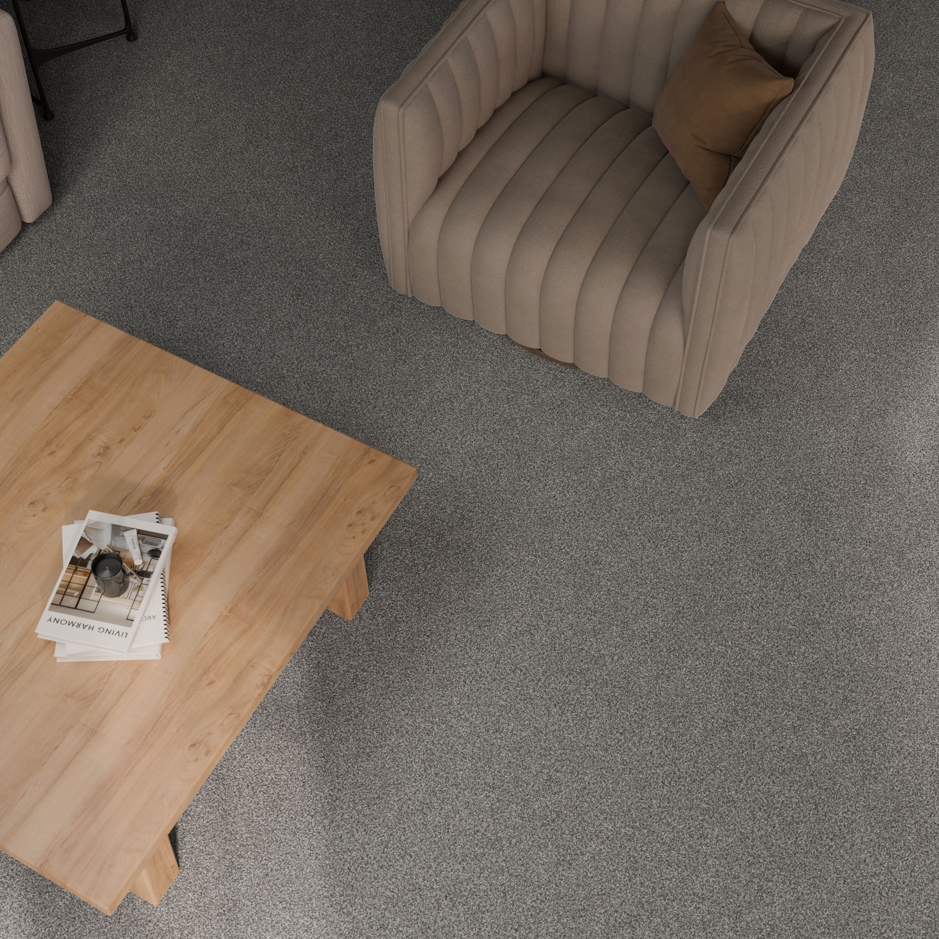 STAINMASTER PetProtect 7L965-413-SAMP Carpet-Samples - View #5