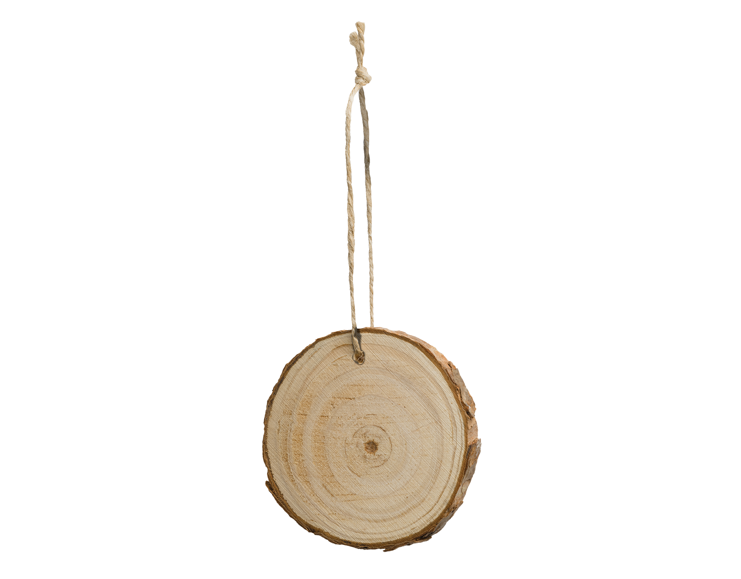 Holiday Living 15-piece Unfinished Live Edge Rounds in the Craft Supplies  department at