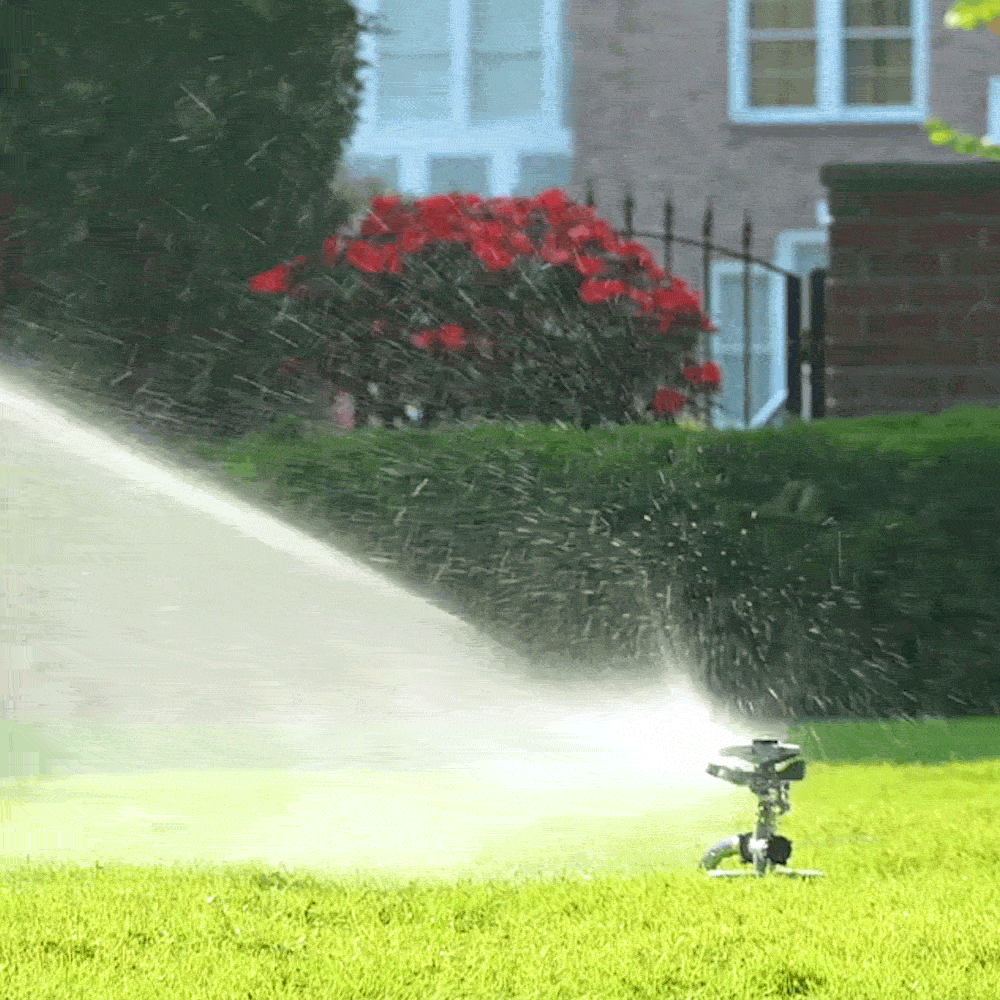 Ray Padula EC-MDDL sprinklers - View #2