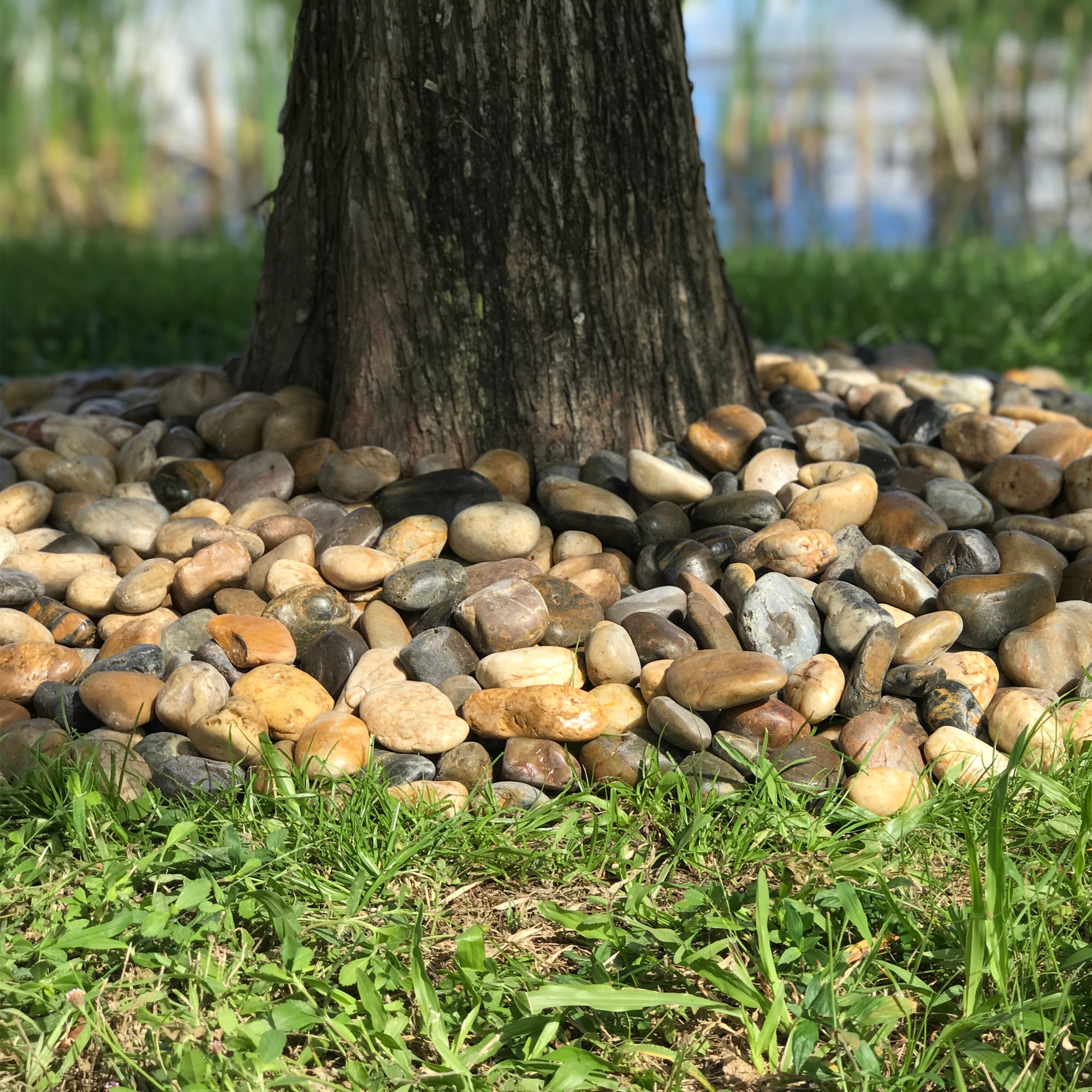 Beach Pebble Company BPCMXMBP3-30 Landscaping-Rock - View #3
