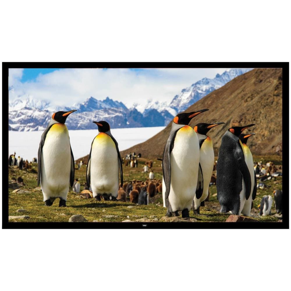 Pyle PRJTPFL112 Fixed Wall-Mount Projector Screen (110-in)
