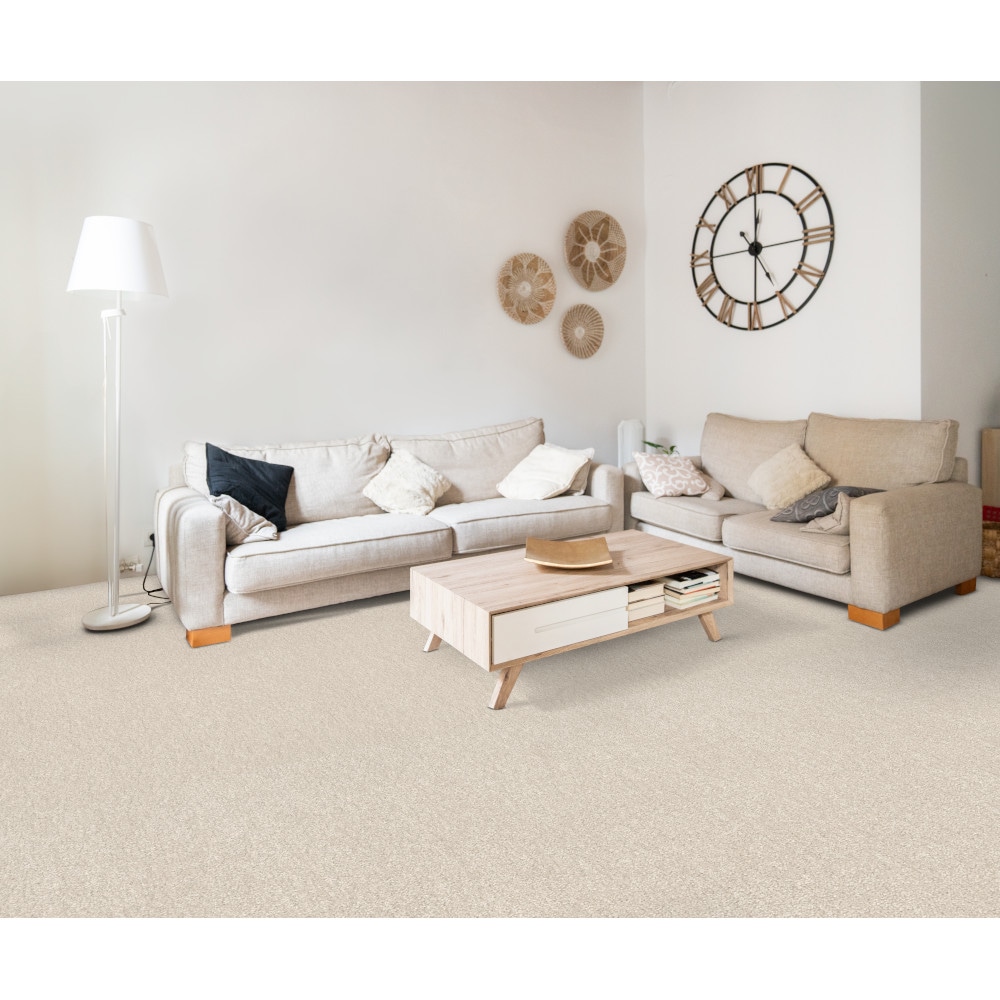 STAINMASTER 7L76400110 Carpet-Panel - View #2